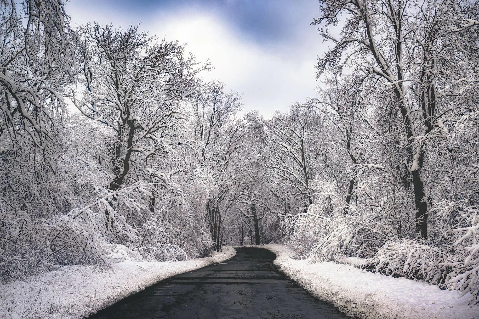 A snow-covered wooded road with leafless trees on both sides and a cloudy sky above.