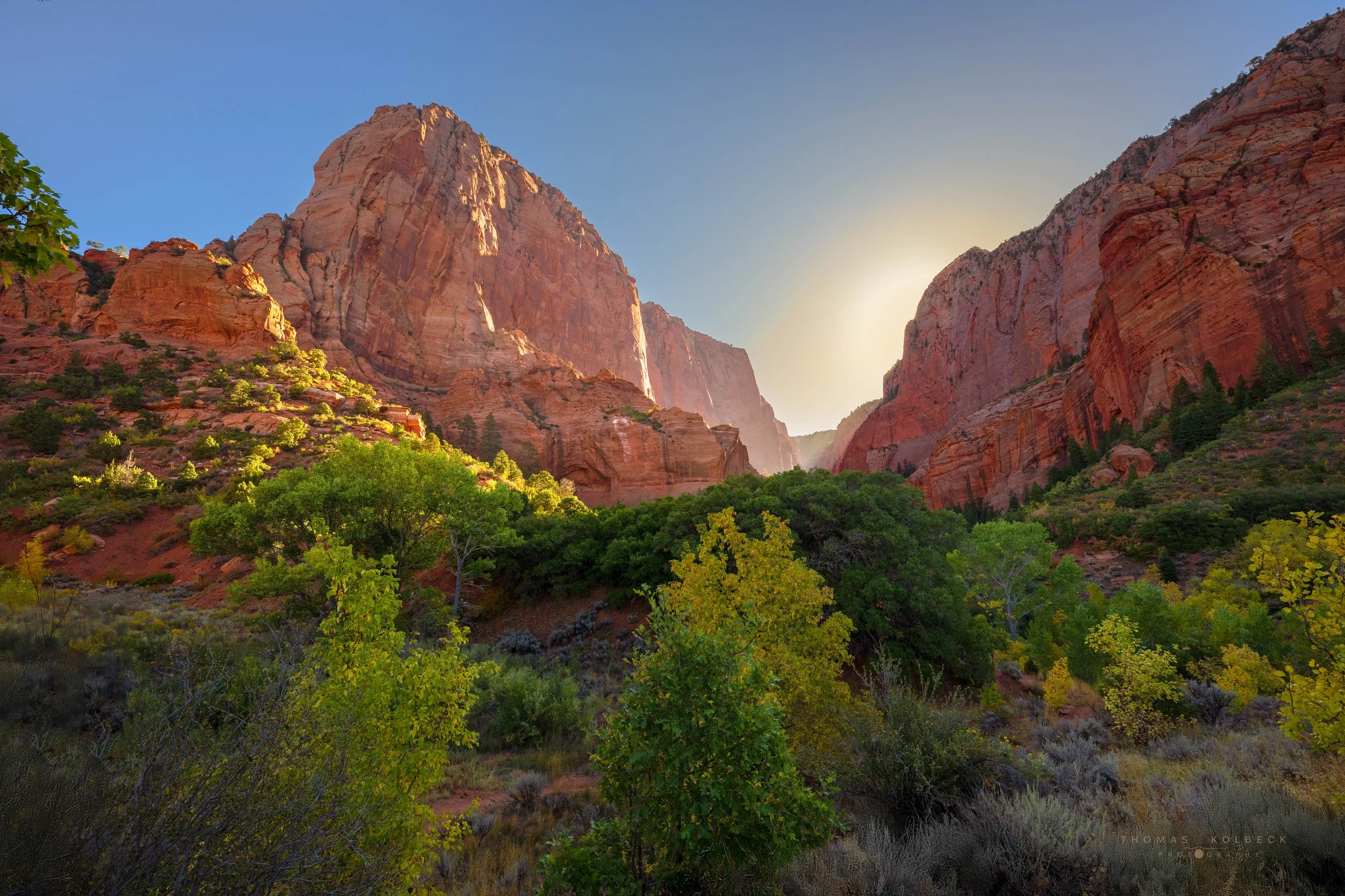 Sunlight illuminating red rock canyons with green trees and shrubbery in the foreground.