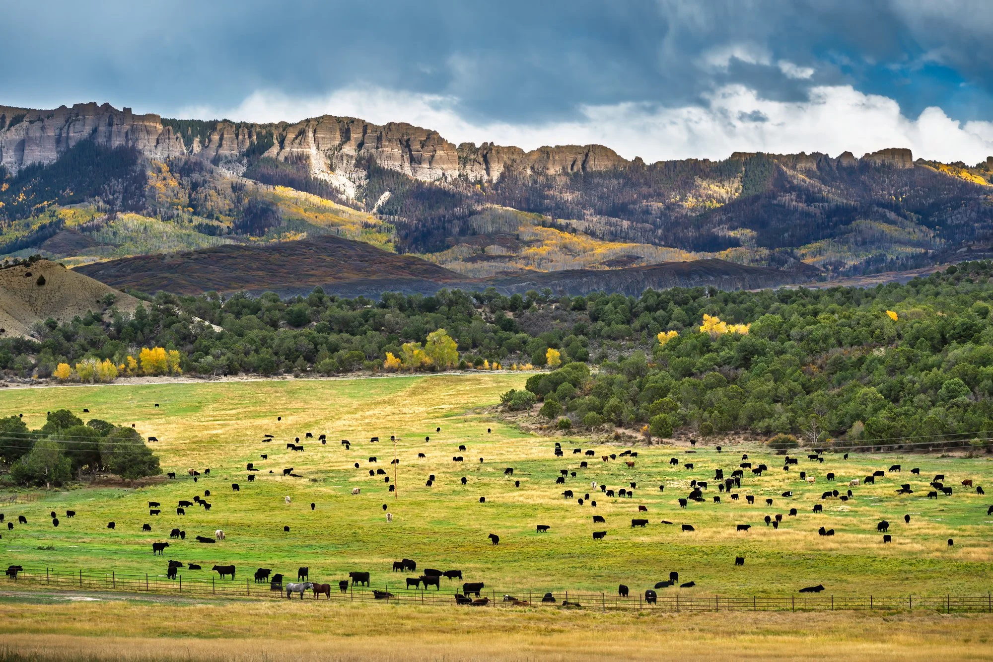 A scenic landscape of a green pasture with grazing cattle, rolling hills, colorful trees, and rugged mountains under a partly cloudy sky.