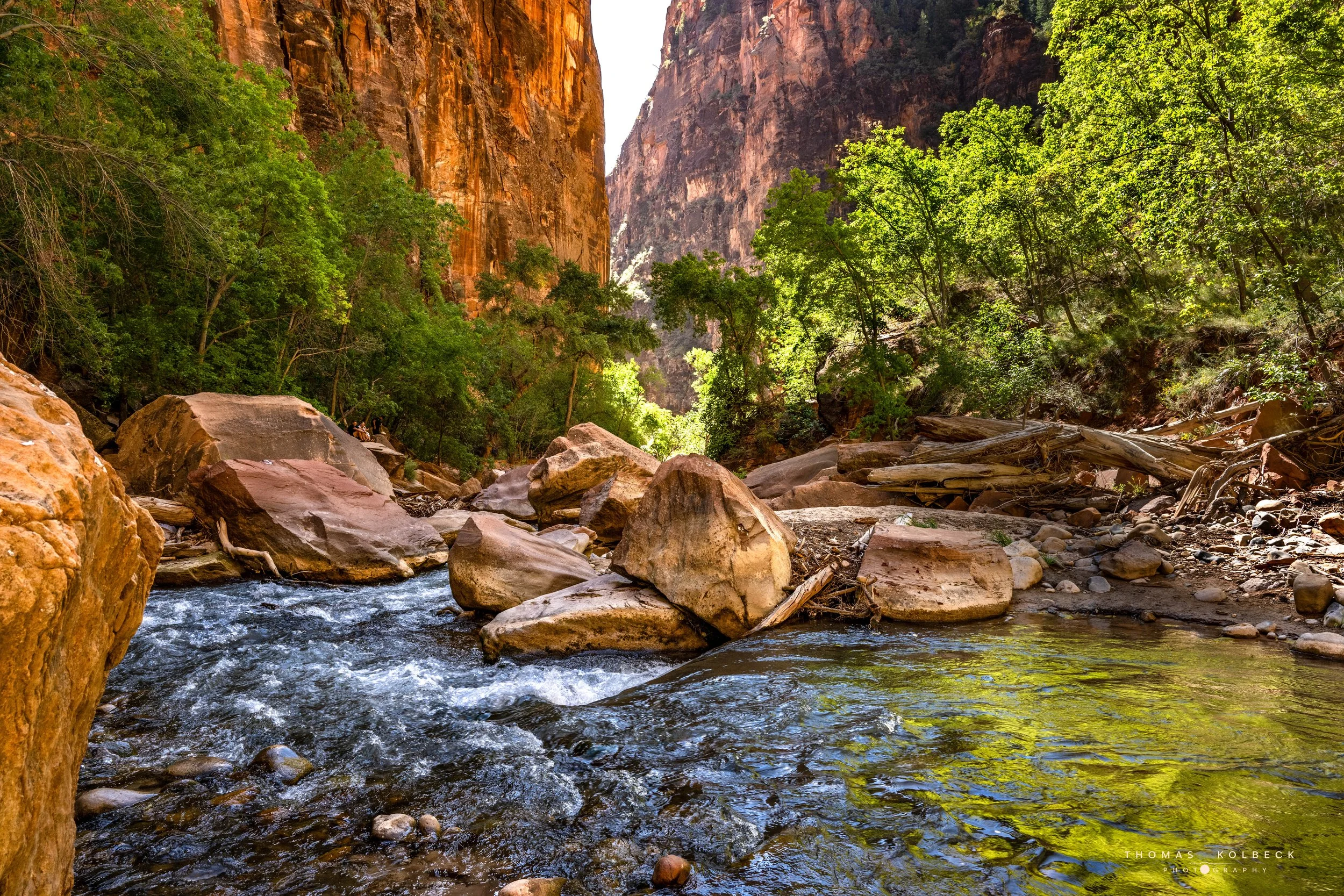 A river flowing through a canyon with large rocks and boulders, surrounded by green trees and tall cliffs.