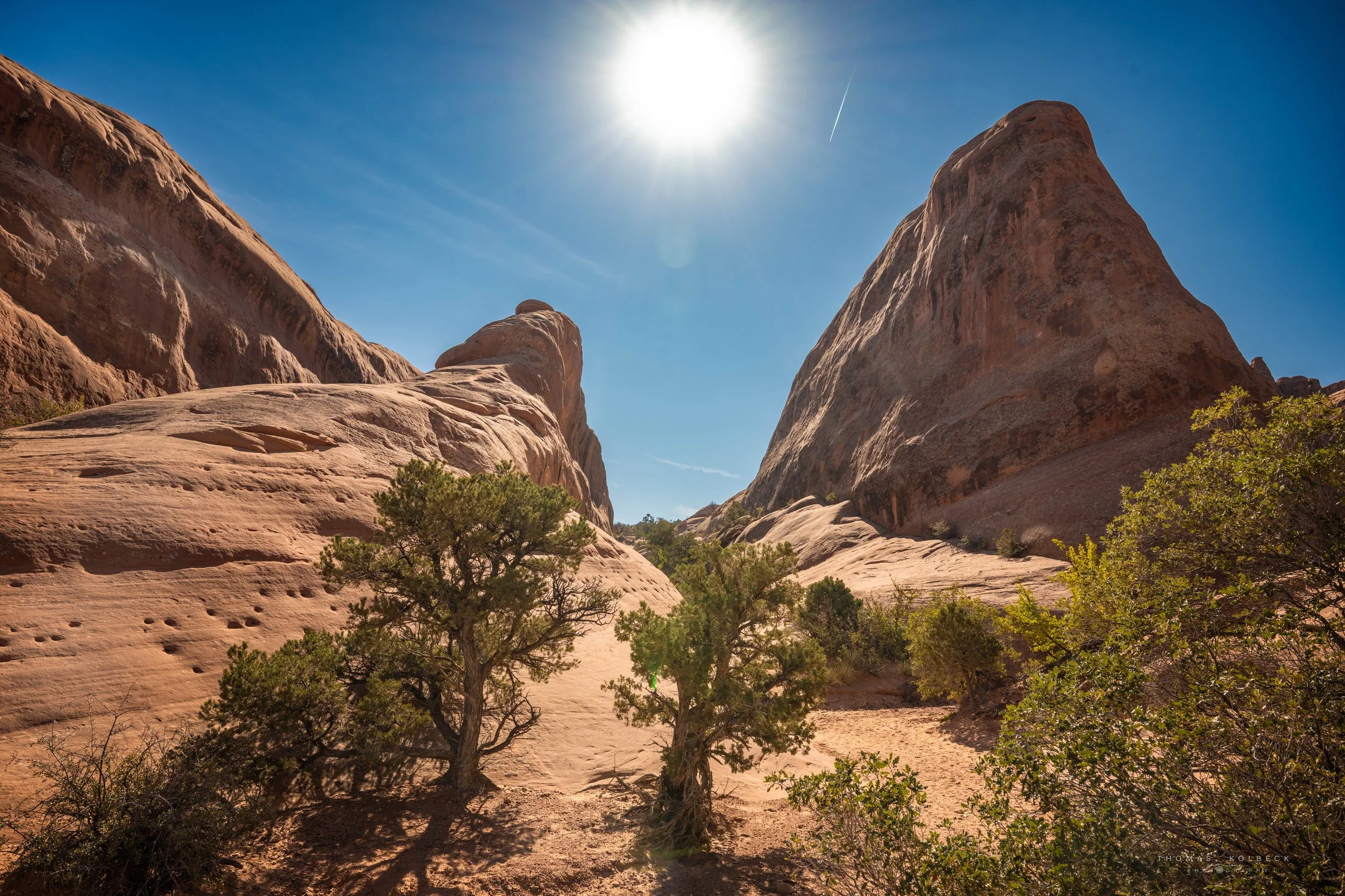 A desert landscape with large sandstone rock formations, green bushes and trees, and a clear blue sky with the sun shining brightly.