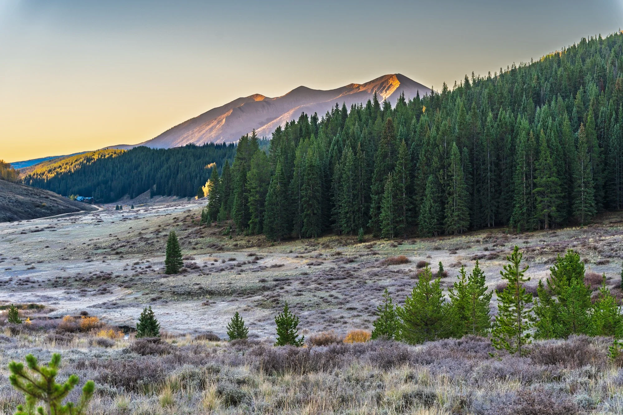 Scenic view of a mountainous landscape with a forest of pine trees, open grassland, and distant mountains during sunset.