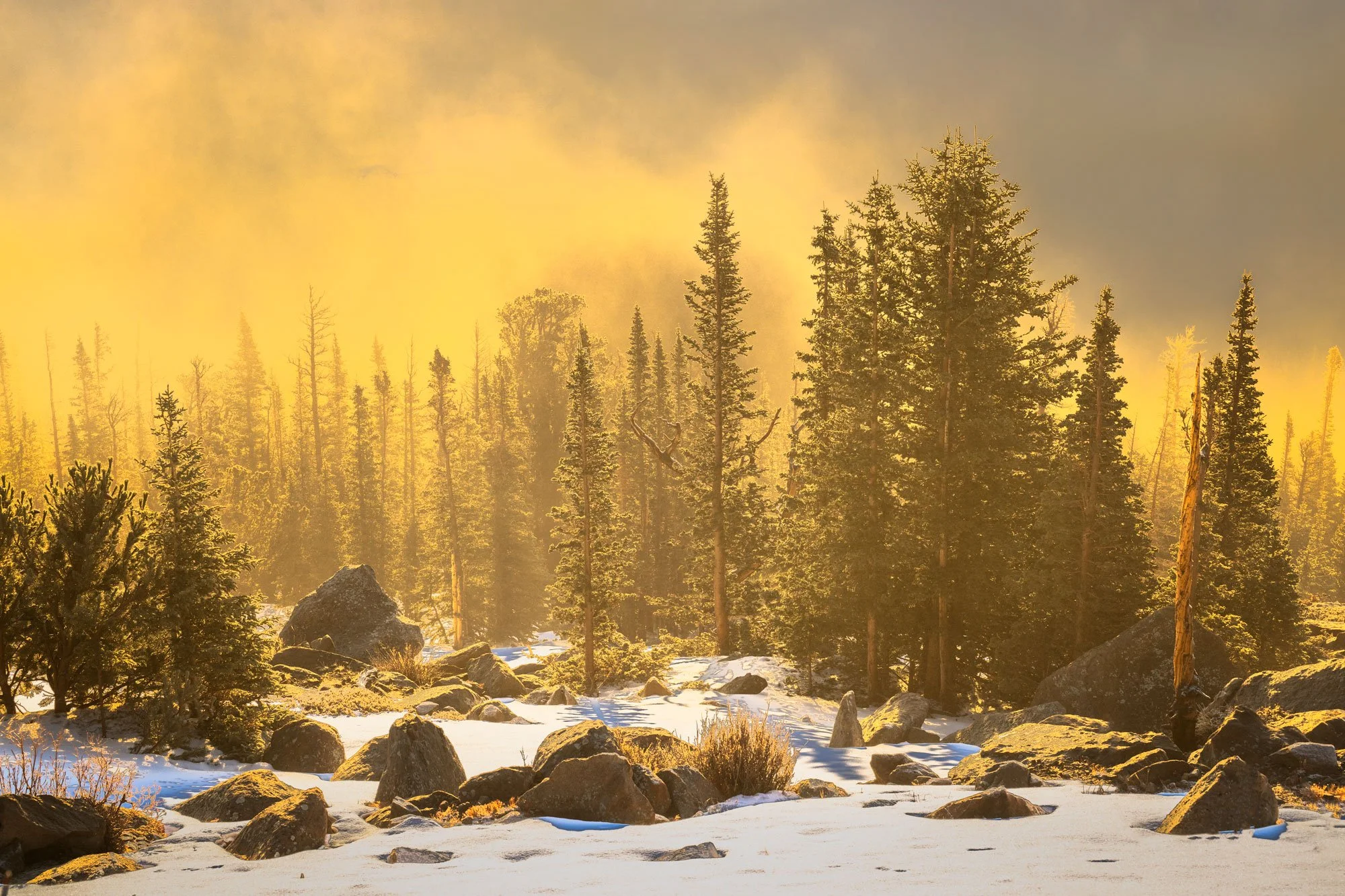 Snow-covered ground with large rocks, tall evergreen trees, and a golden-orange sky with clouds or fog.