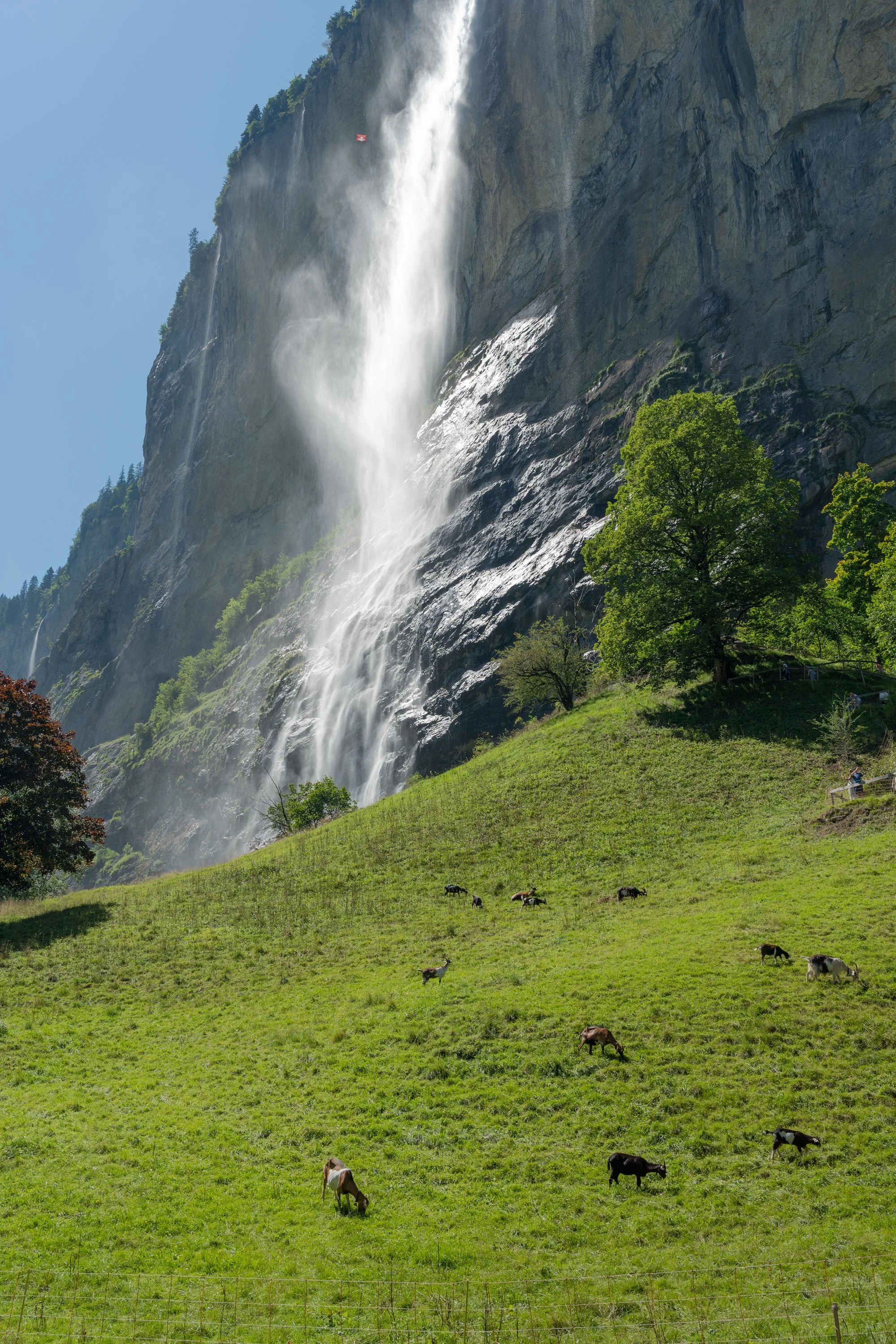 Green pasture with grazing horses in front of a tall waterfall cascading down a rocky cliff, with trees scattered across the hillside and a small flag at the top of the waterfall.