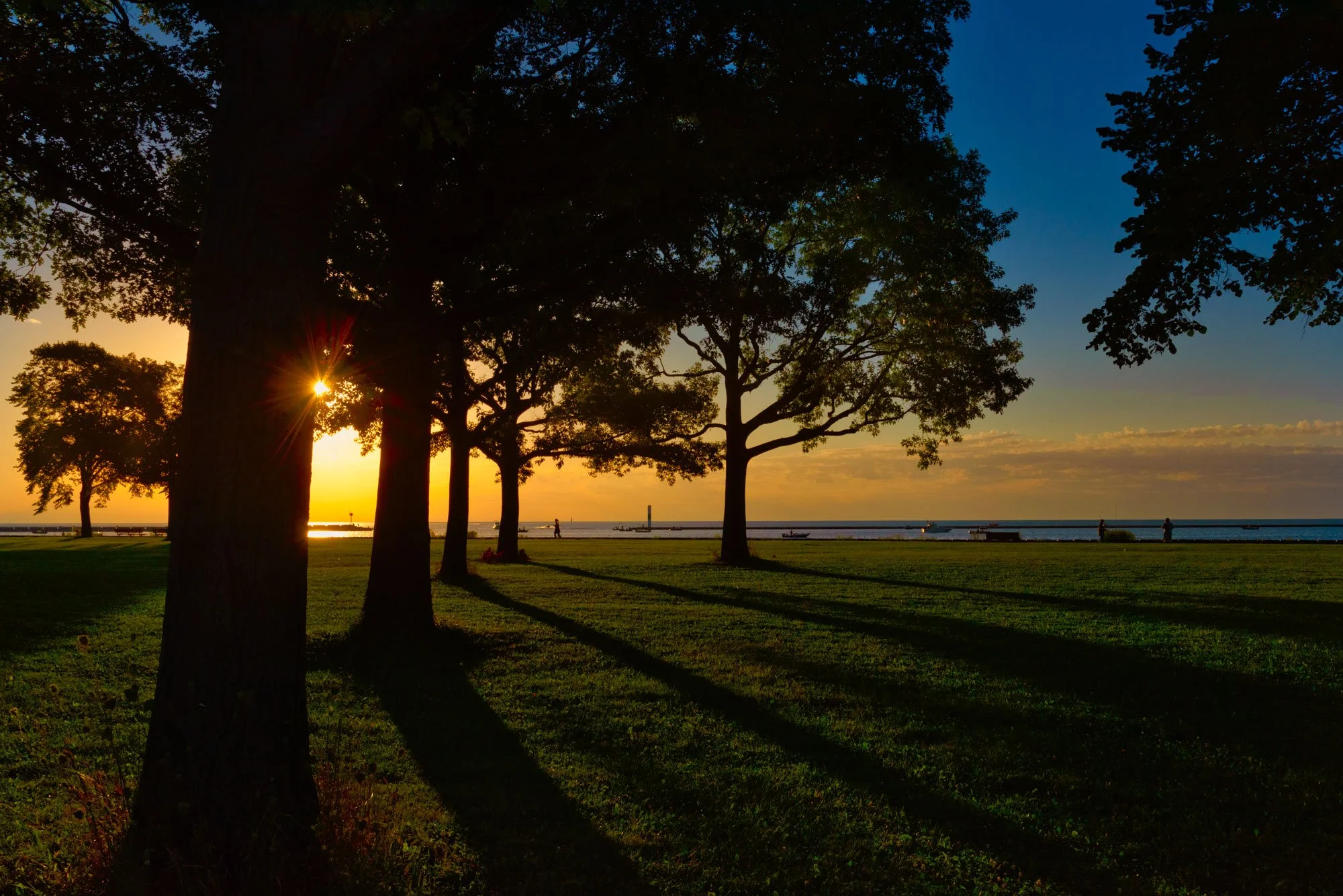 Sunset over a park with trees casting long shadows on the grass, with a view of the water and a few people walking along the shoreline.