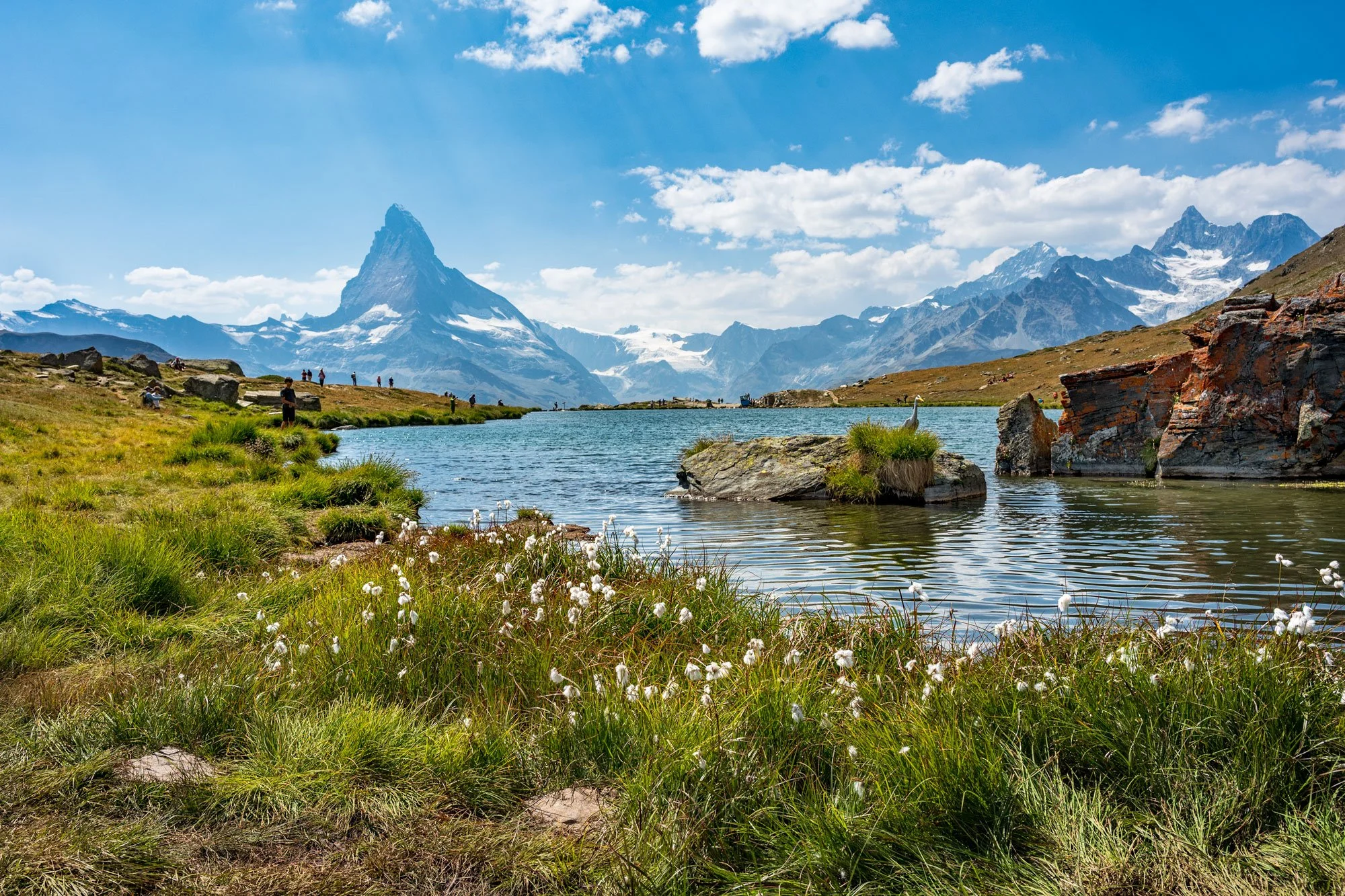 Scenic view of a mountain landscape with a lake, grassy foreground with white cotton-like flowers, and snow-capped peaks in the background under a partly cloudy sky.