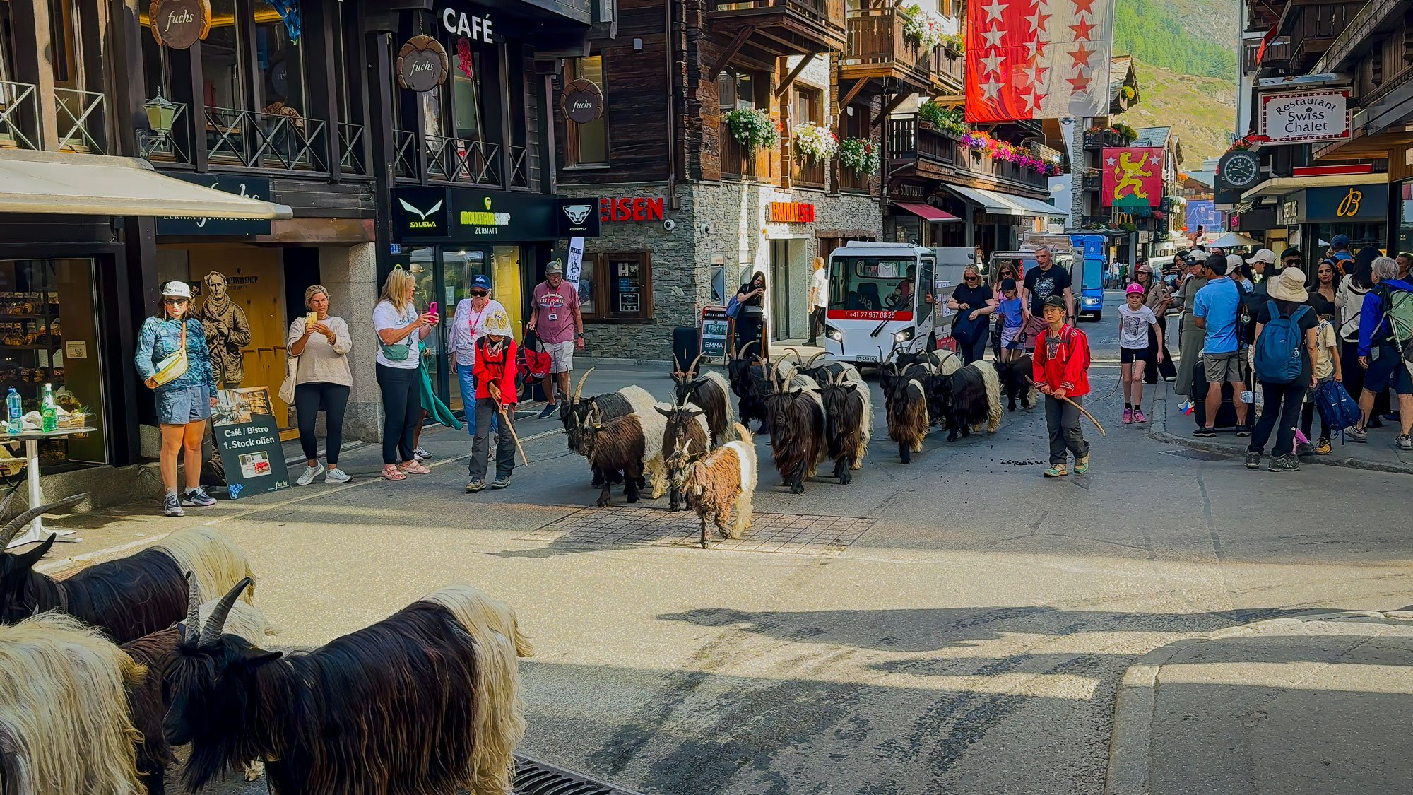 People walking on a busy street with goats and a small electric vehicle among them, in a mountain town with shops and colorful flags.