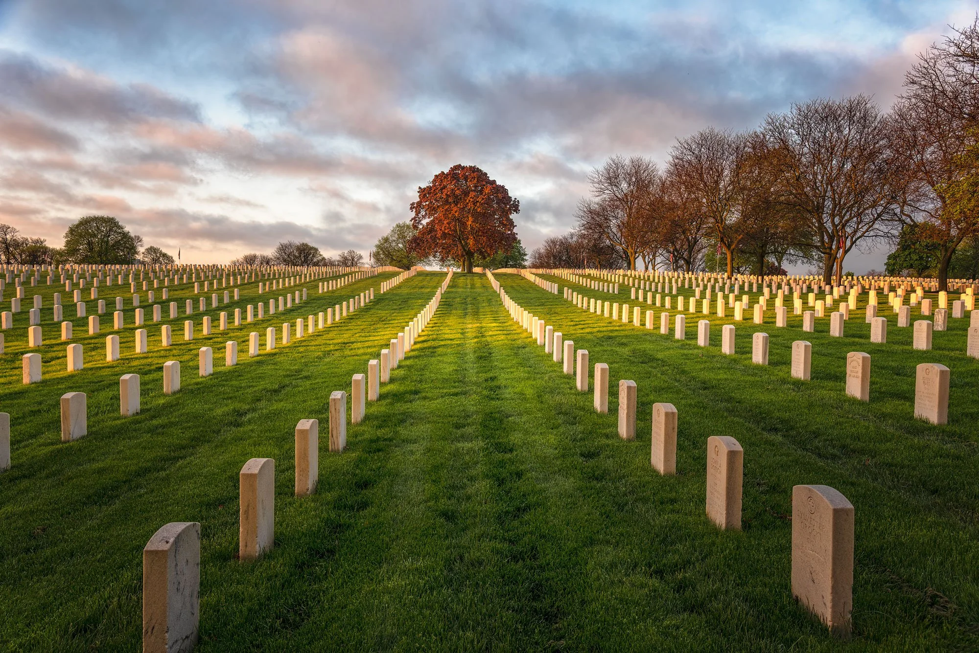 A military cemetery with rows of white headstones on a grassy hill, a large tree at the top of the hill, other leafless trees, and a dramatic sky with clouds at sunset or sunrise.