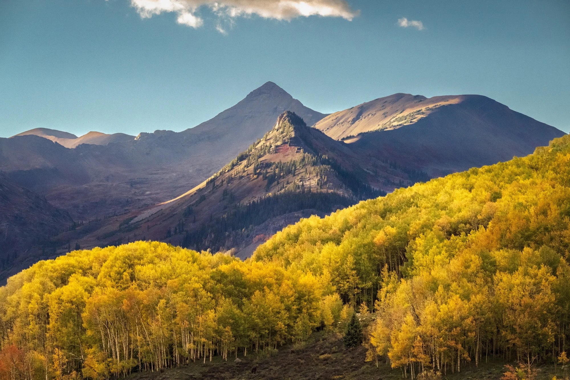 A mountain landscape during fall with a forest of yellow and green trees in the foreground, and rugged mountain peaks under a partly cloudy sky in the background.