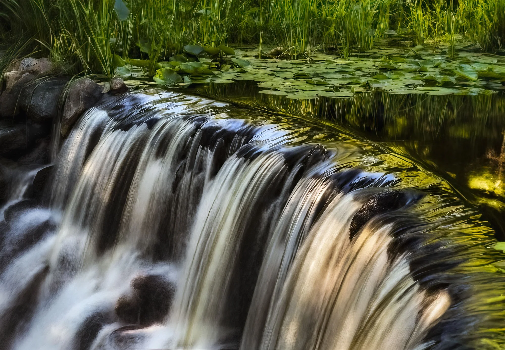 A small waterfall flowing over rocks into a pond surrounded by green plants and lily pads.