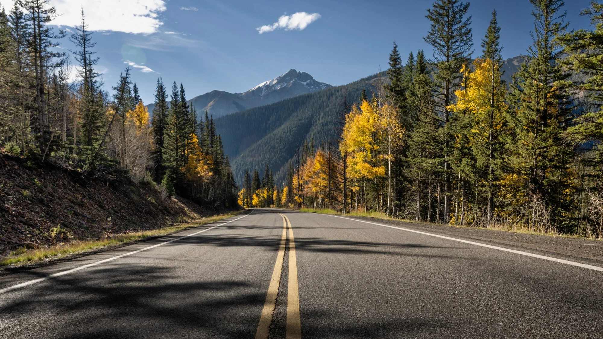 A two-lane road winding through a forested mountainous area with tall pine trees, some in autumn colors, and snow-capped mountains in the background under a partly cloudy sky.