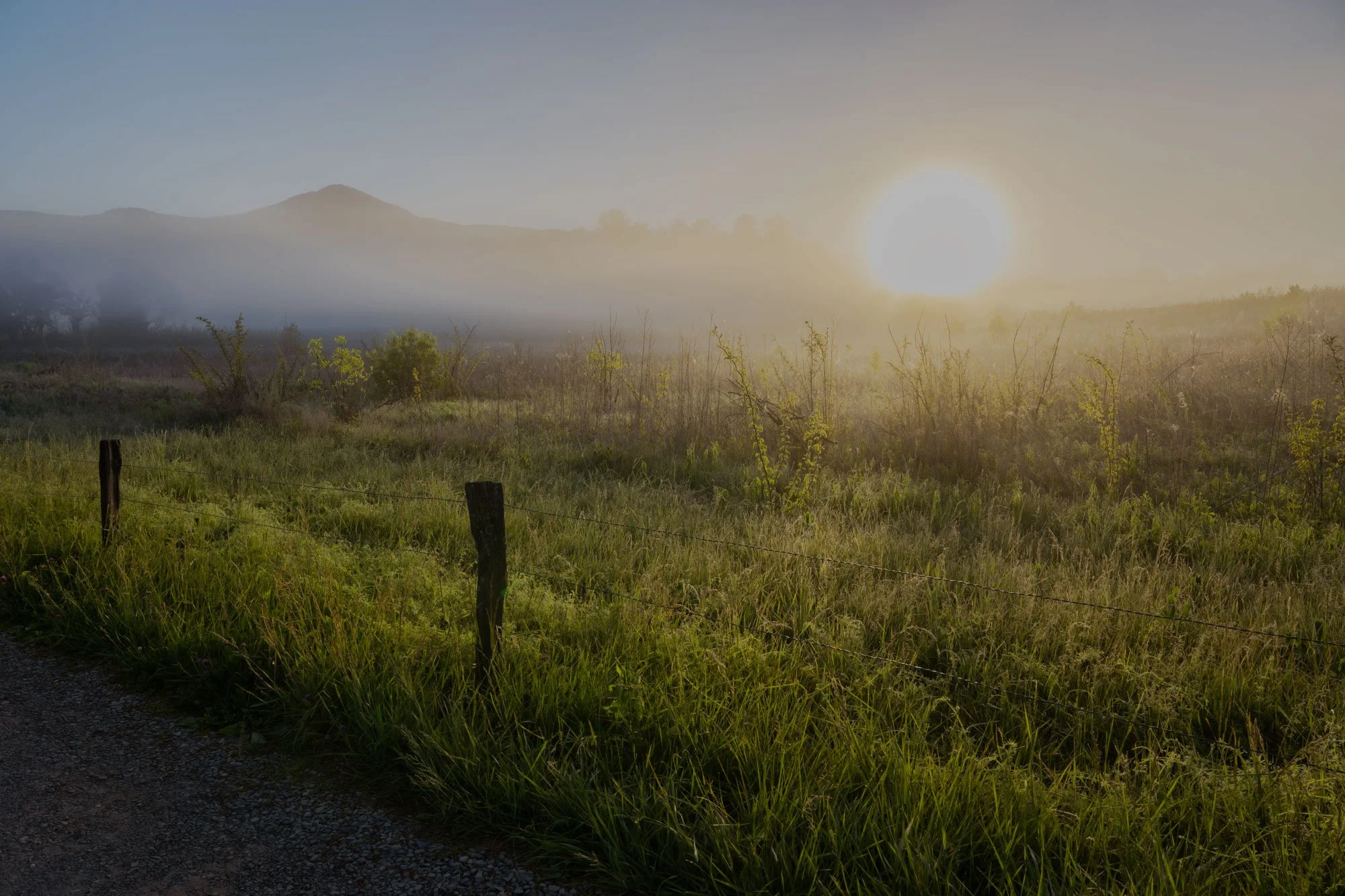 Sunrise over a grassy field with mountains in the background and a fence along the edge of a gravel path.