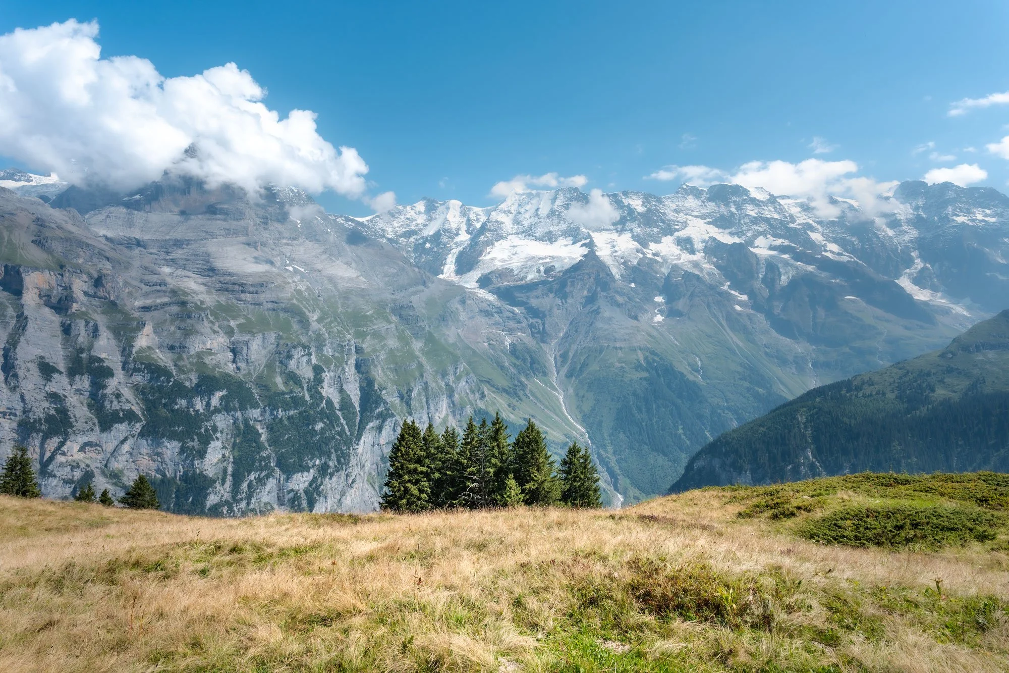 Scenic mountain landscape with snow-capped peaks in the background, lush green forests in the midground, and grassy meadows in the foreground under a blue sky with scattered clouds.