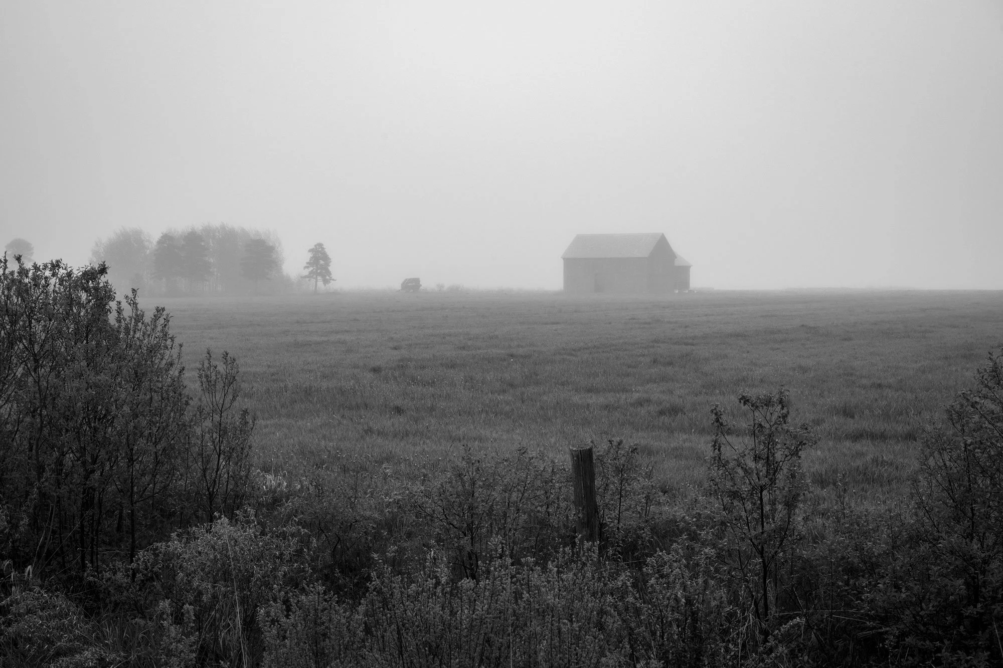 A foggy rural landscape with a barn, a tree, and a car in the distance, black and white.
