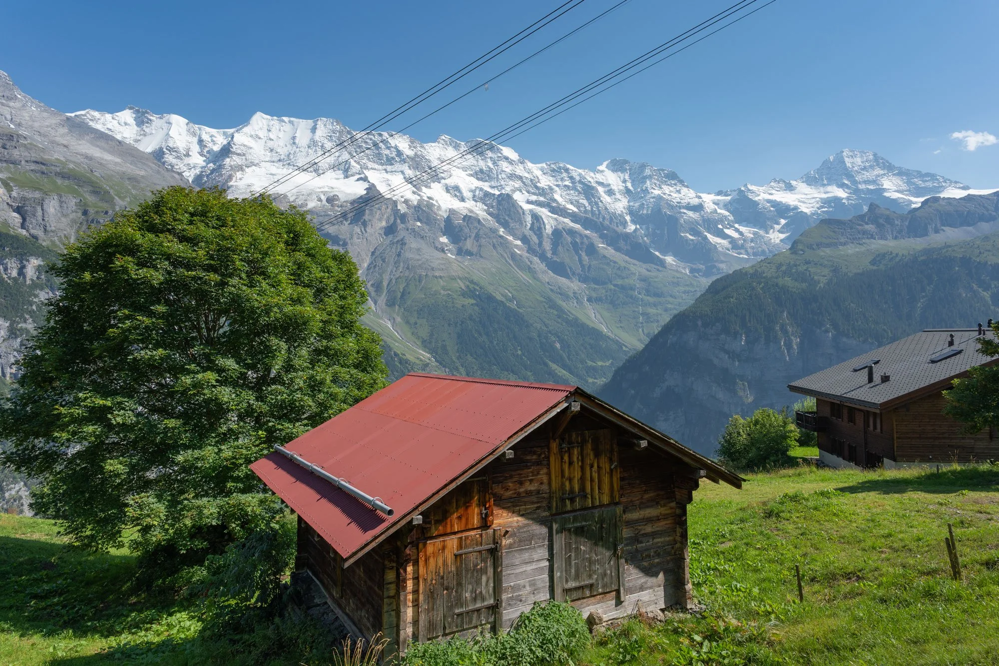 A rustic wooden cabin with a red roof on a grassy slope, beside a large green-leafed tree, with snow-capped mountains in the background and a clear blue sky.