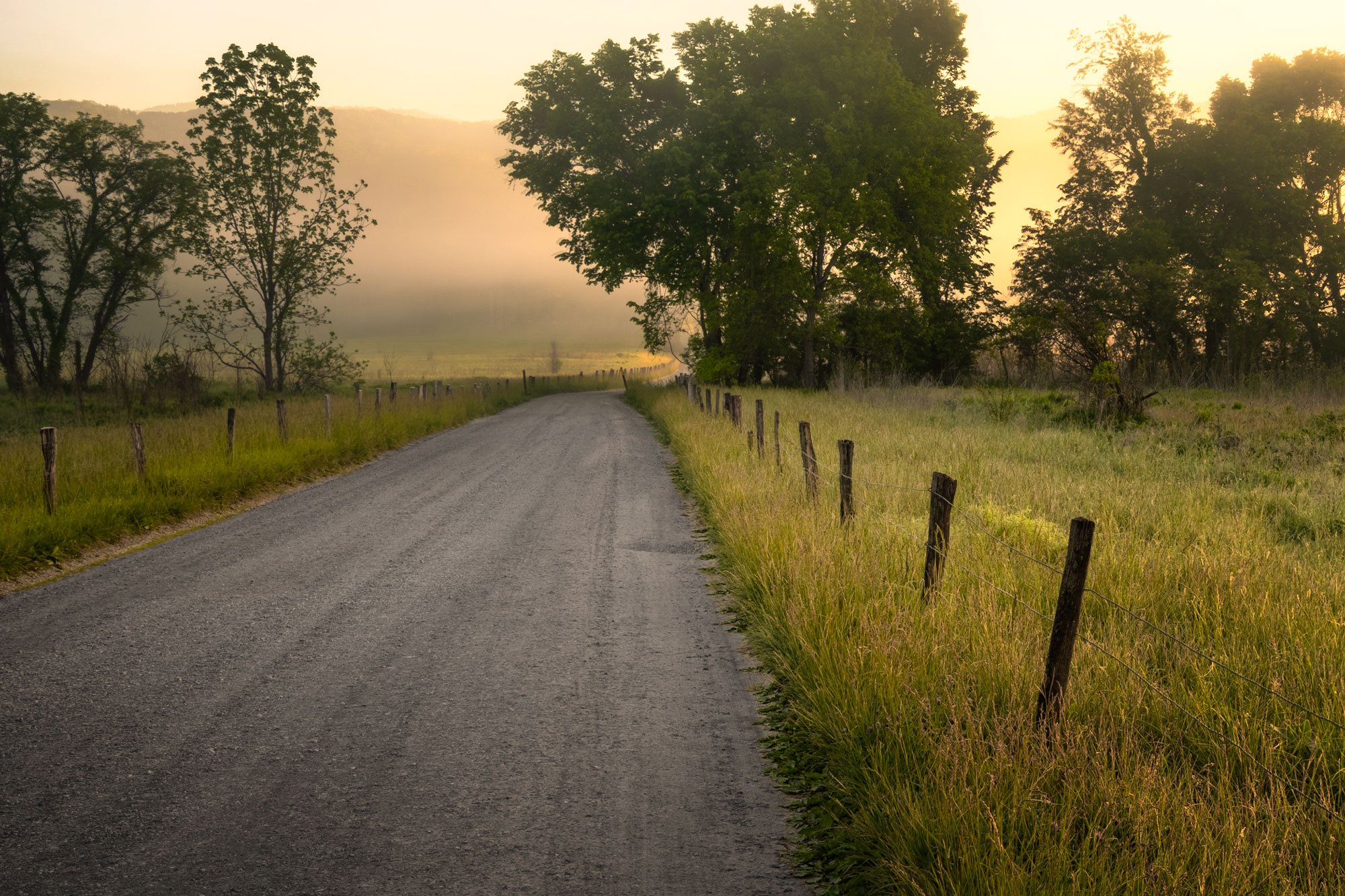 A rural dirt road winding through grassy fields on either side, with wooden fence posts and barbed wire running alongside. Tall trees and a hazy sunrise or sunset in the background, casting a warm glow over the scene.