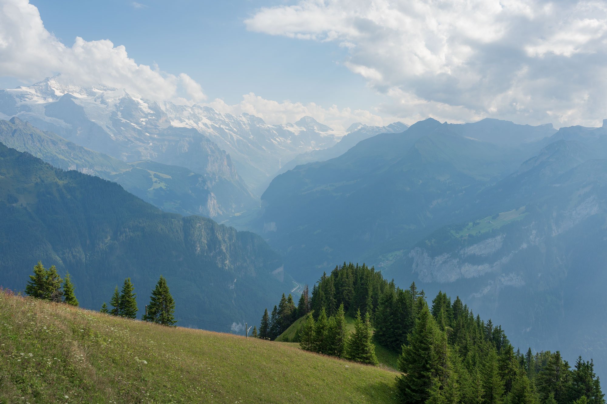 Scenic view of a mountain landscape with snow-capped peaks, green forests, and a grassy hillside with trees.
