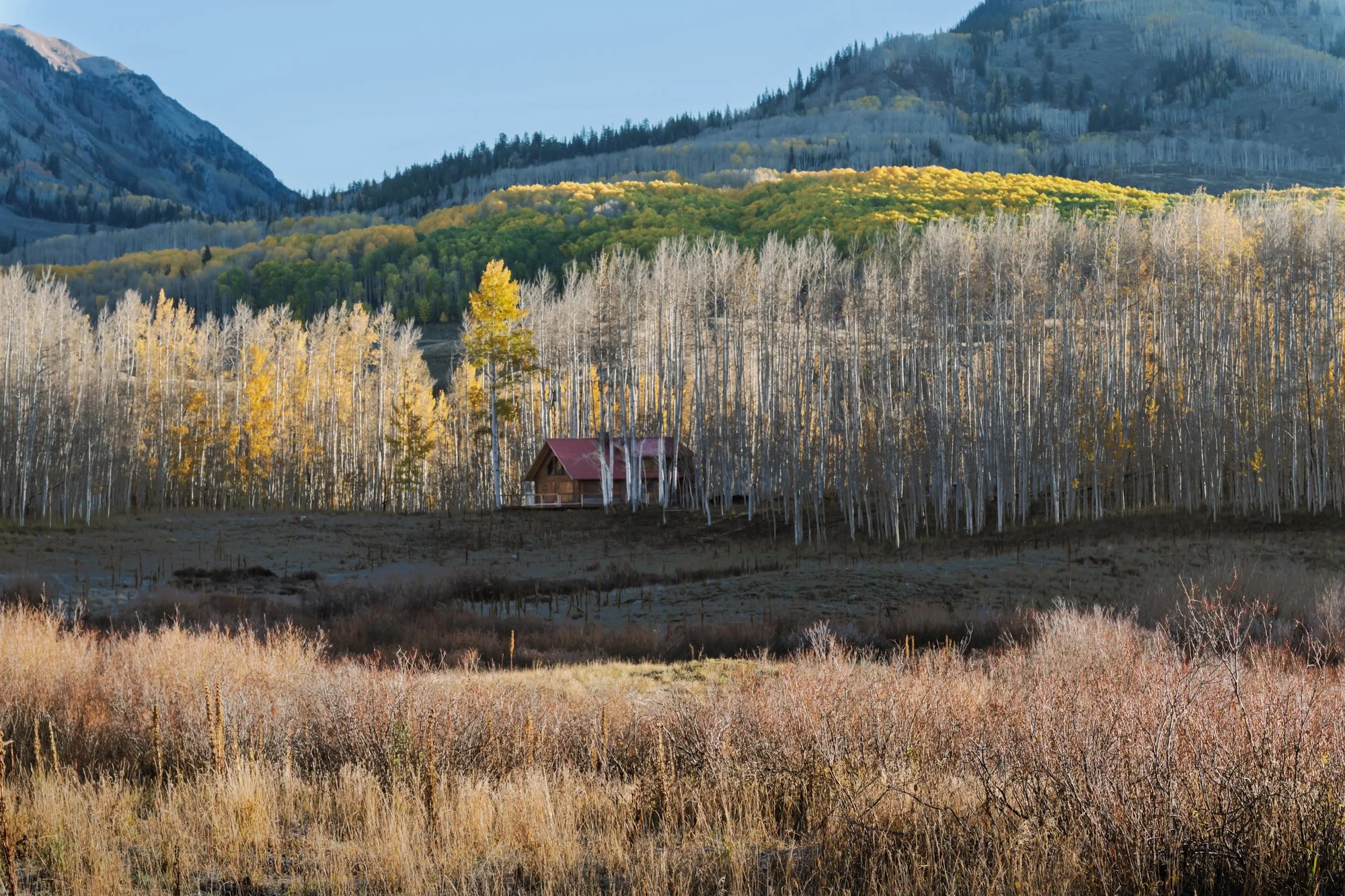 A wooden house with a red roof situated among tall, leafless trees in a valley with dry grass. In the background, a forest of green trees on rolling hills stretches towards distant mountains under a clear sky.