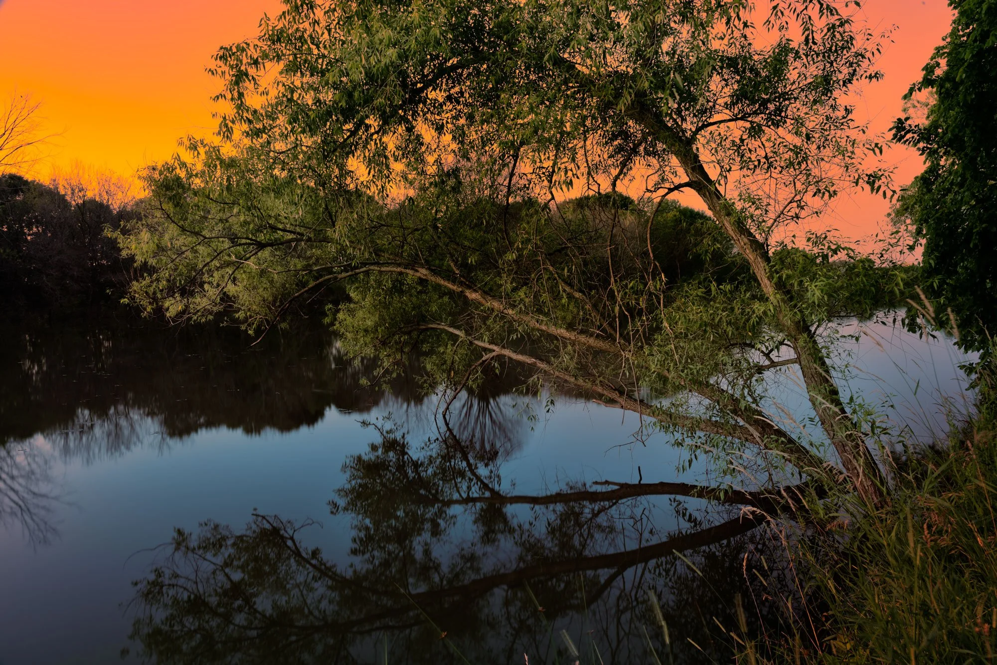 Calm river reflecting trees on the bank, with green foliage and a vibrant orange and pink sunset sky.