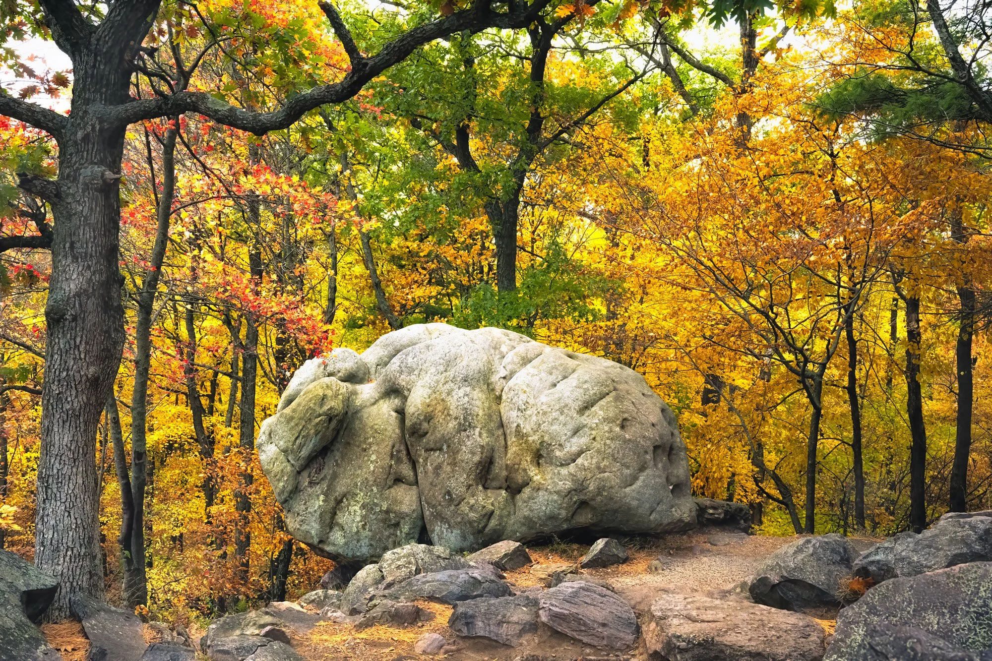 A large boulder in a forest with trees showing autumn foliage of red, yellow, and green leaves.