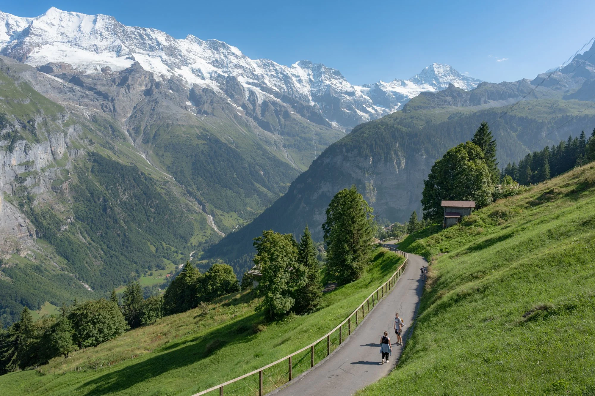 Three hikers walking on a winding path through a lush green hillside with tall trees, with snow-capped mountains in the background and a clear blue sky.
