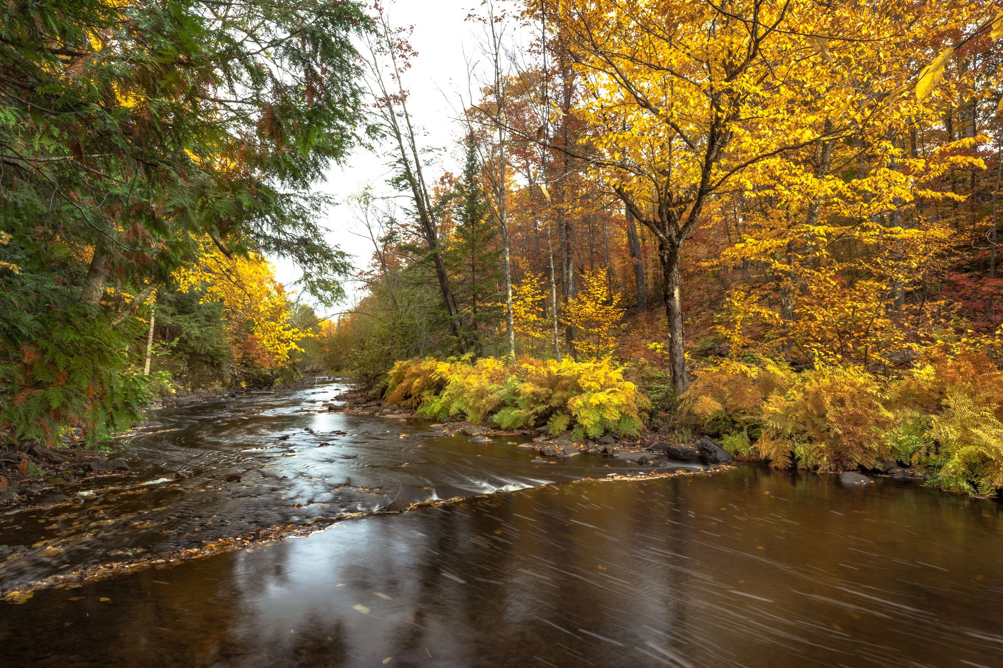 A peaceful stream winding through a forest with autumn foliage. The trees have yellow, orange, and red leaves, some still on the branches and some fallen into the water. The scene is serene and colorful.