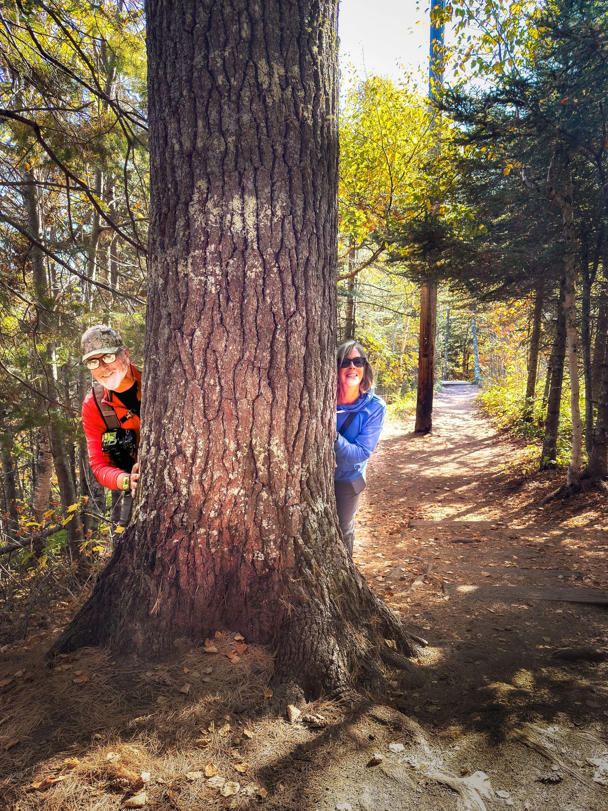 Two people peeking from behind a large tree on a forest trail, with sunlight filtering through autumn-colored leaves.