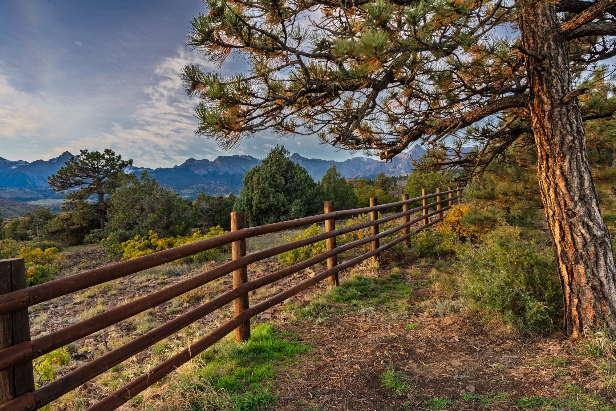 A scenic landscape of mountains in the background, a clear blue sky with some clouds, a pine tree in the foreground, and a wooden fence running along the hillside. There are smaller trees and yellow-green bushes on the hillside.