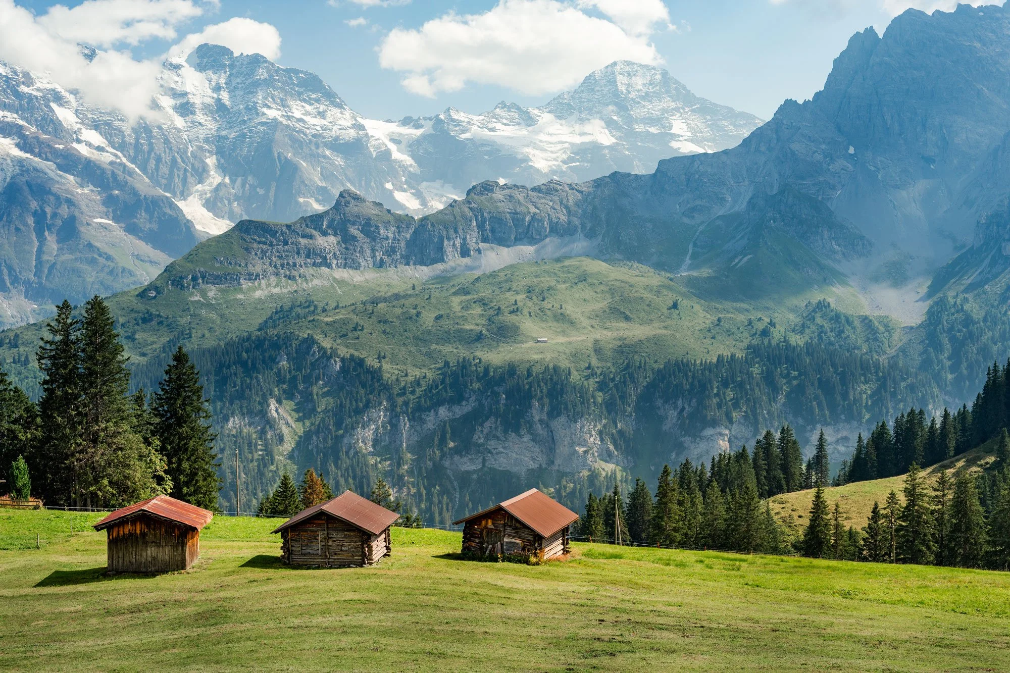 Three small wooden cabins with red roofs in a grassy meadow, surrounded by pine trees, with tall mountains in the background.