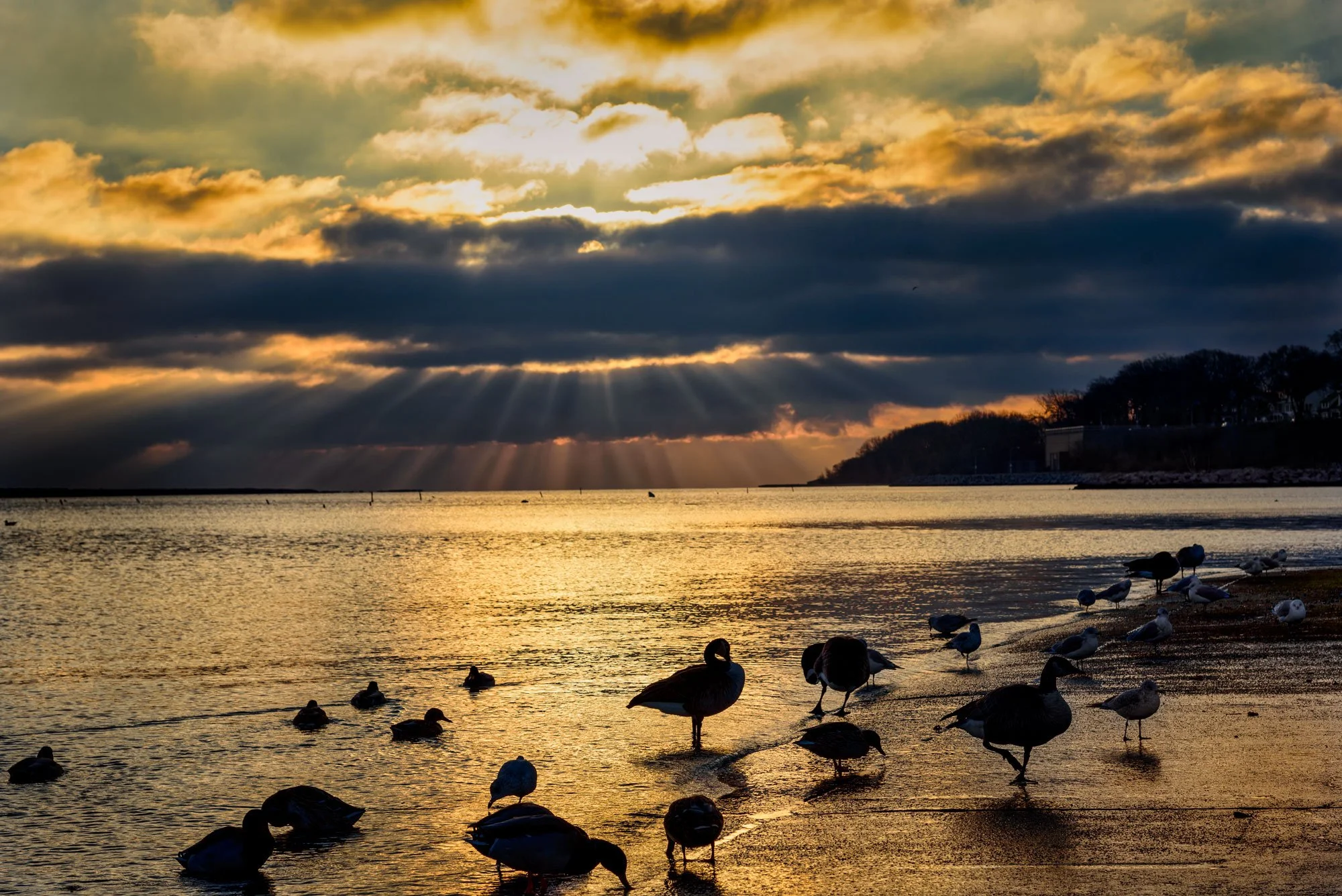Sunset over a body of water with ducks at the shoreline and clouds in the sky.