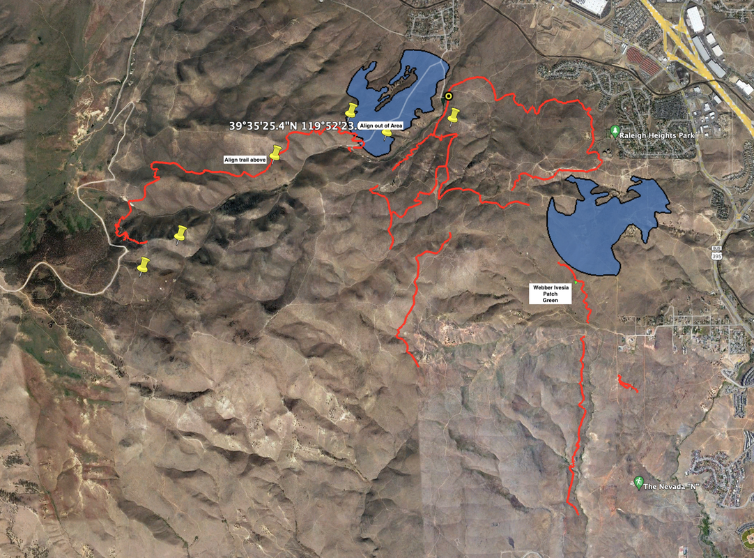 NE Peavine Trails Project