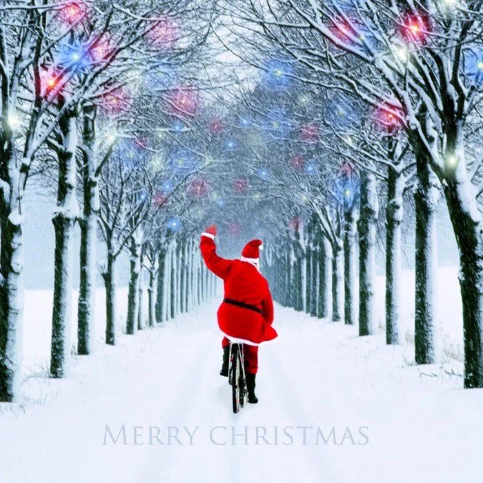 Merry Christmas and Happy New Years

Looks like local riding will be on hold for a while with the wet weather. Time to get the skis out. 2025 has been a productive trail year at BLTS with the new Hopper Trail, re-route of middle Stage Coach, the new 