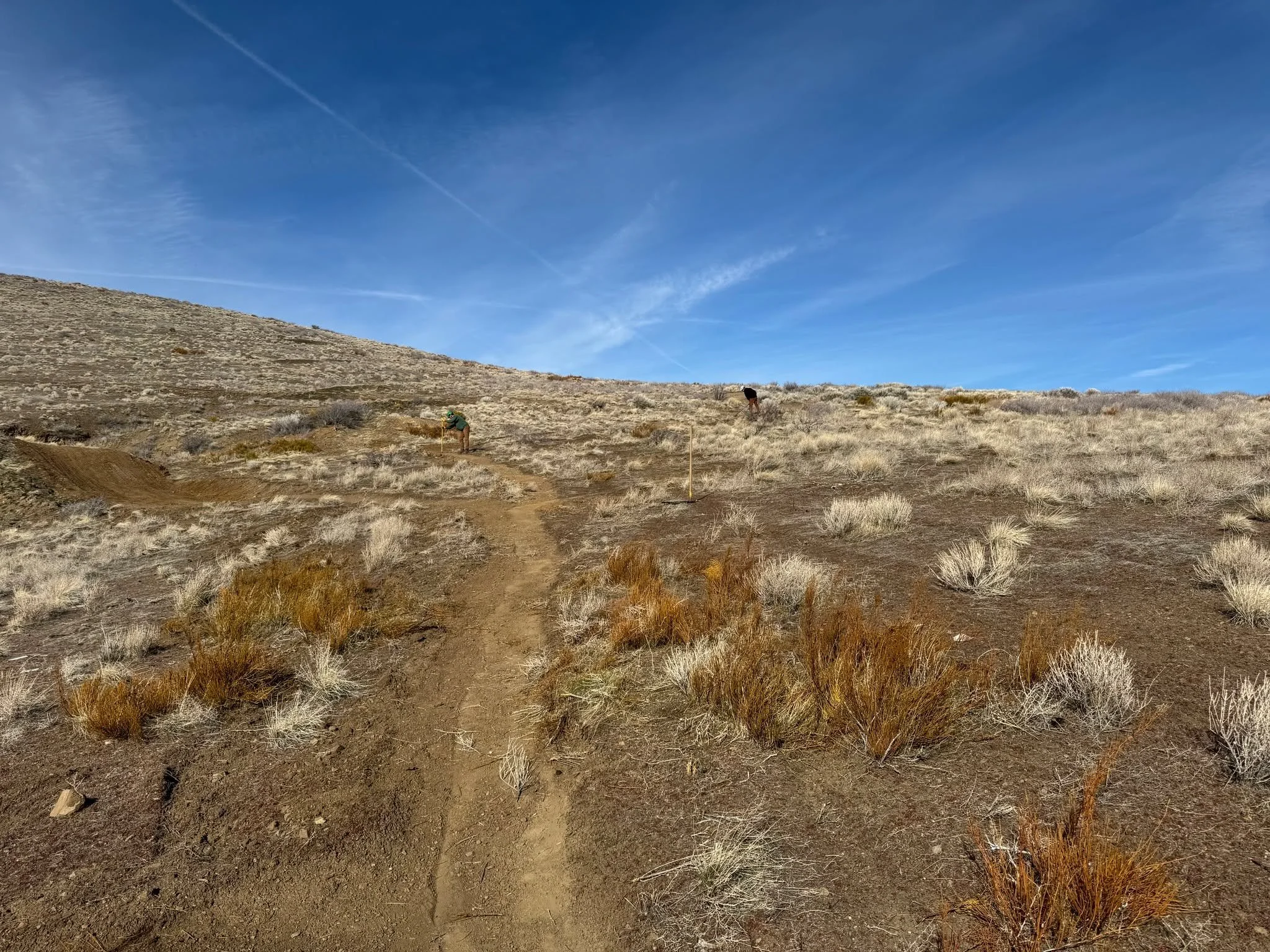 Had two dogs and four happy trail volunteers on a beautiful January day to put on the finishing touches of the bottom .25 miles of the new Golden Fleece Trail. We did some plate compacting, brushing with our gas saw and basic clean up. Also installed
