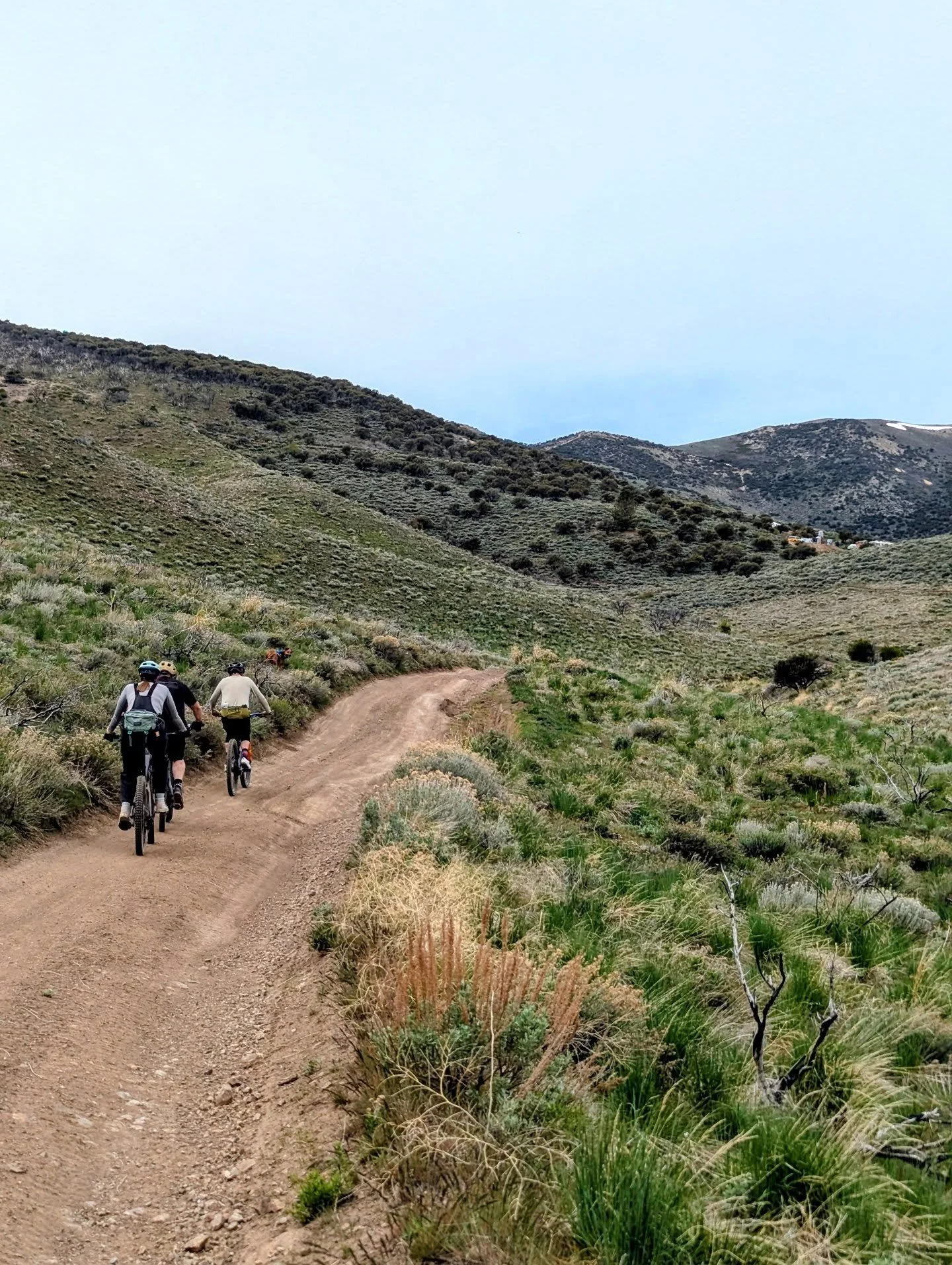 The spring Peavine bloom is upon us! The trails are dry and many are getting maintenance, enhancements, or repairs to ensure users have the best experience we can offer. 

In the next couple weeks, we'll have the first @grassrootsracingreno race down