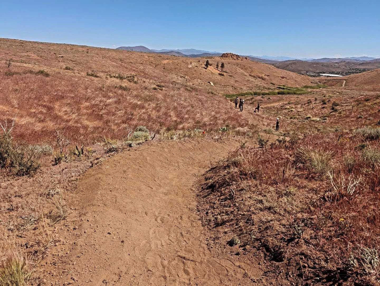Another successful trail day doing finish work with a great crew of people from AACT. 

The old Lower Bobsled has been updated to have better sight lines, more effective drainage, and reduced erosion. Below that, the next section of trail has been ha