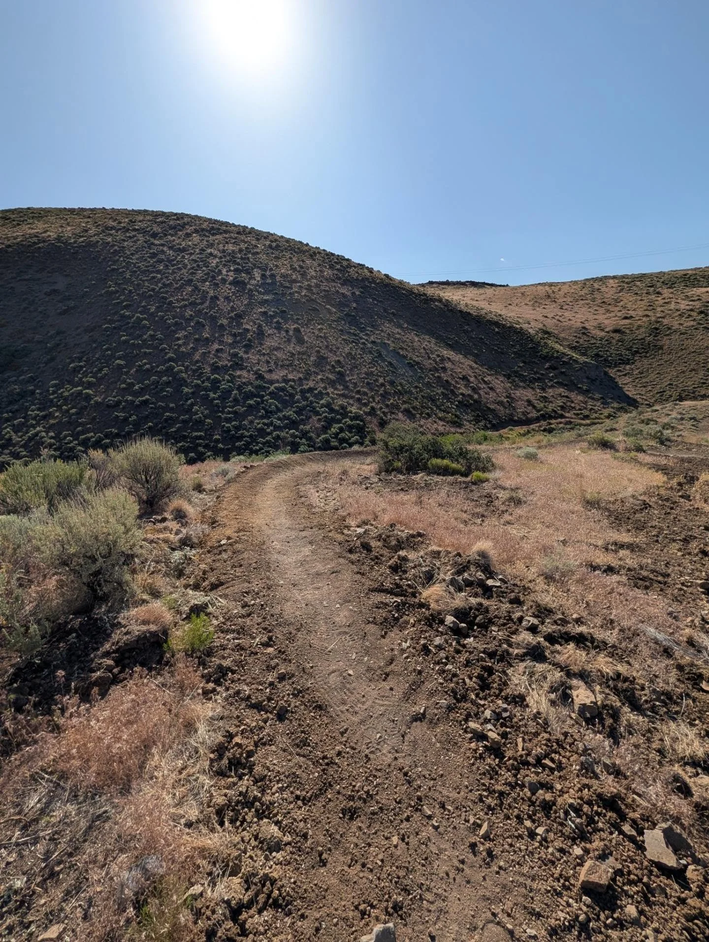 Our Memorial Day Fisticuffs maintenance day was an excellent way to spend the morning. Around 15 volunteers and board members showed up today to help support the BLTS trim brush, rake, shape, and naturalize the trail additions completed recently as w
