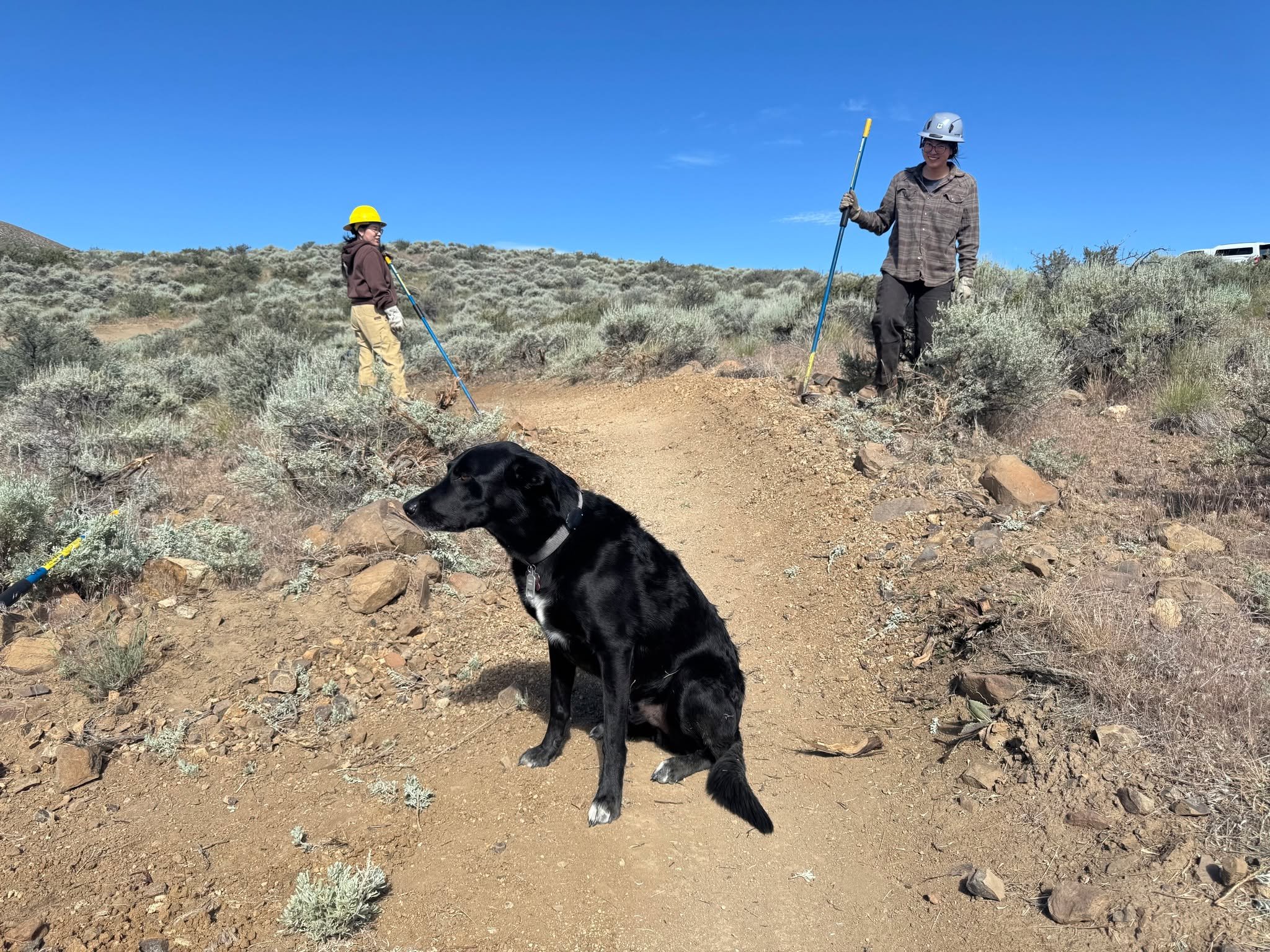 Had an Army of four on National Trail Day under the watchful eyes of Jack T Trail Dog. We were going to work on The Bacon Strip Trail, but due to the small number of participants, the predicted high winds and a Red Flag Warning starting at 11AM, we d