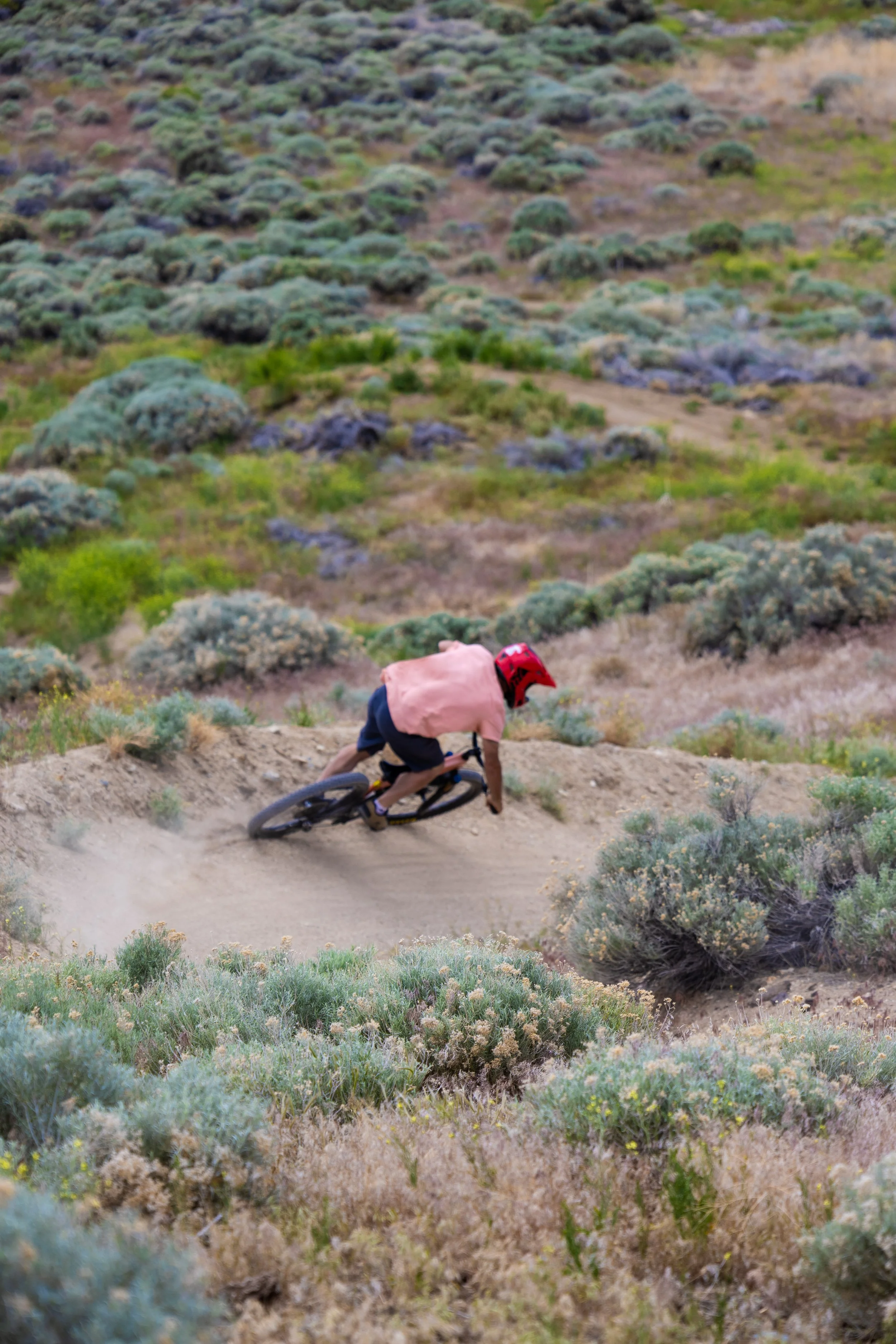 A person mountain biking on a trail through a desert landscape with shrubs and rocky terrain.