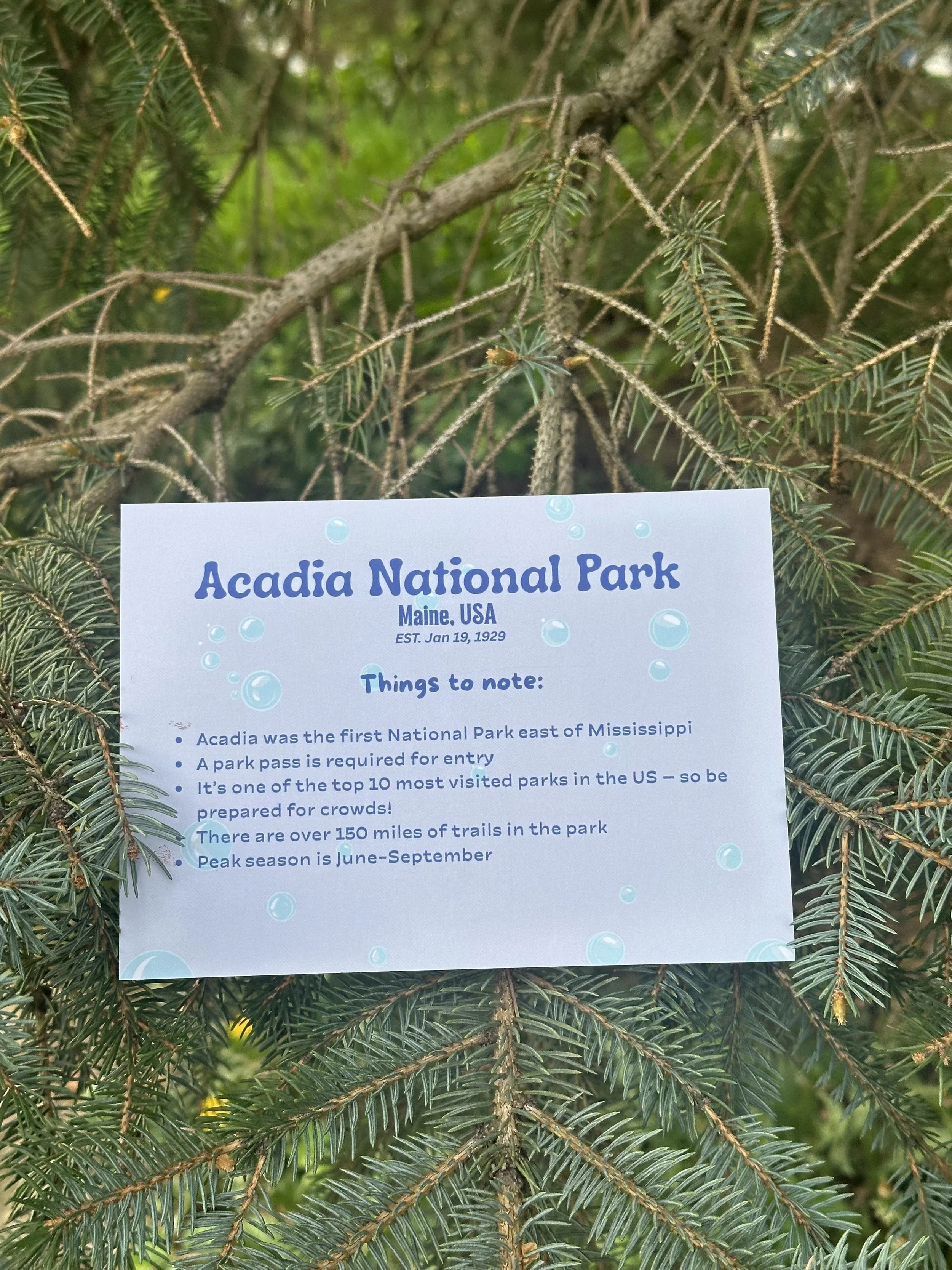 acadia postcard back.jpg