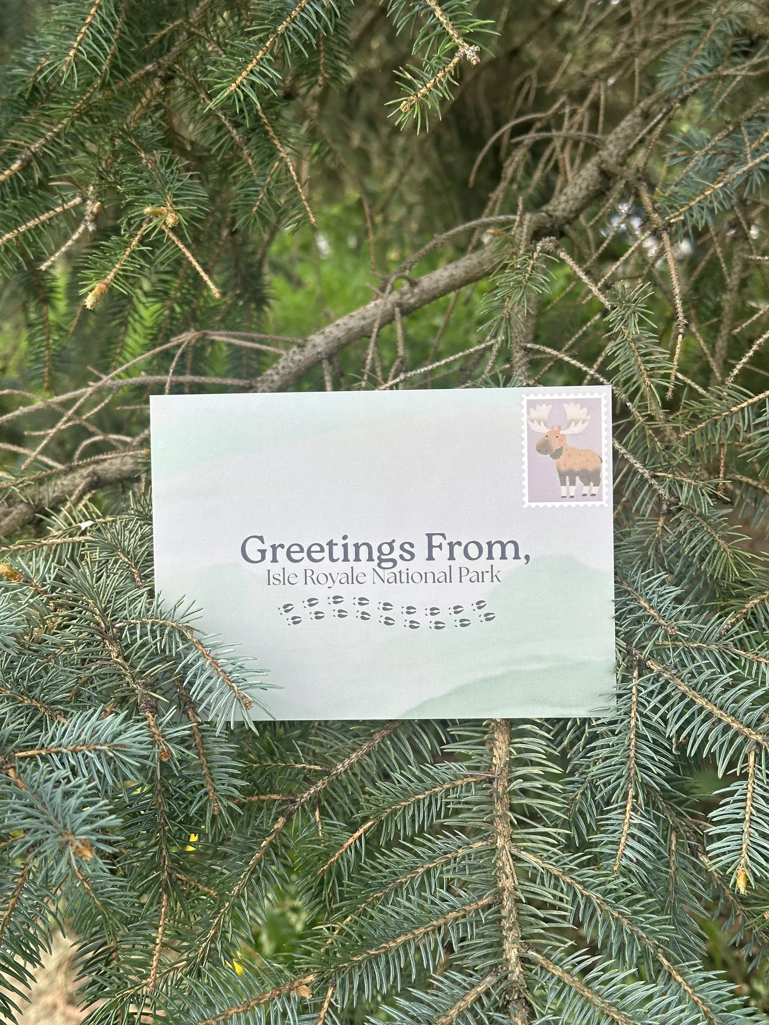 Isle Royale Postcard