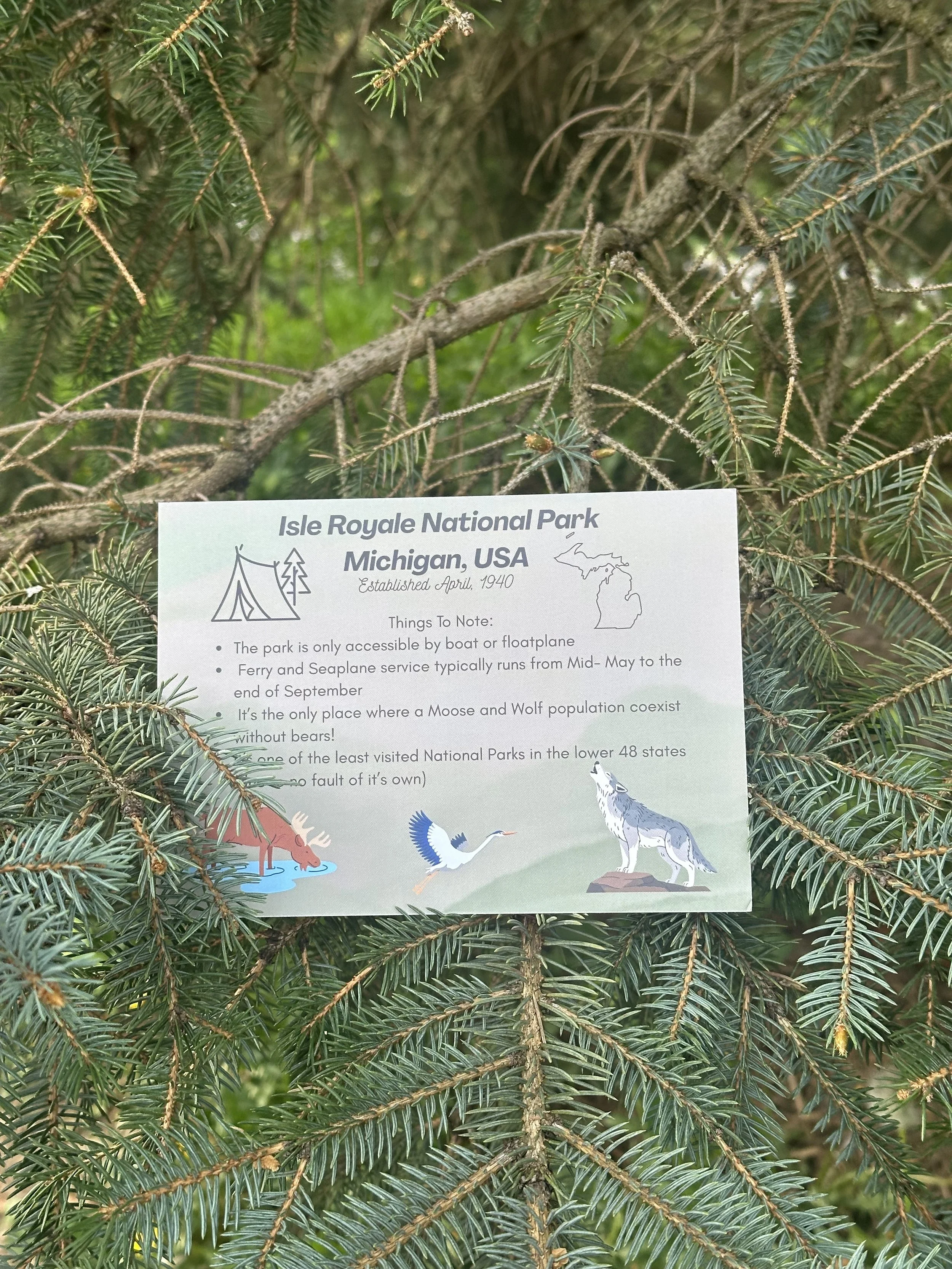 isle royale postcard back.jpg