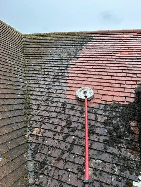 Roof Cleaning