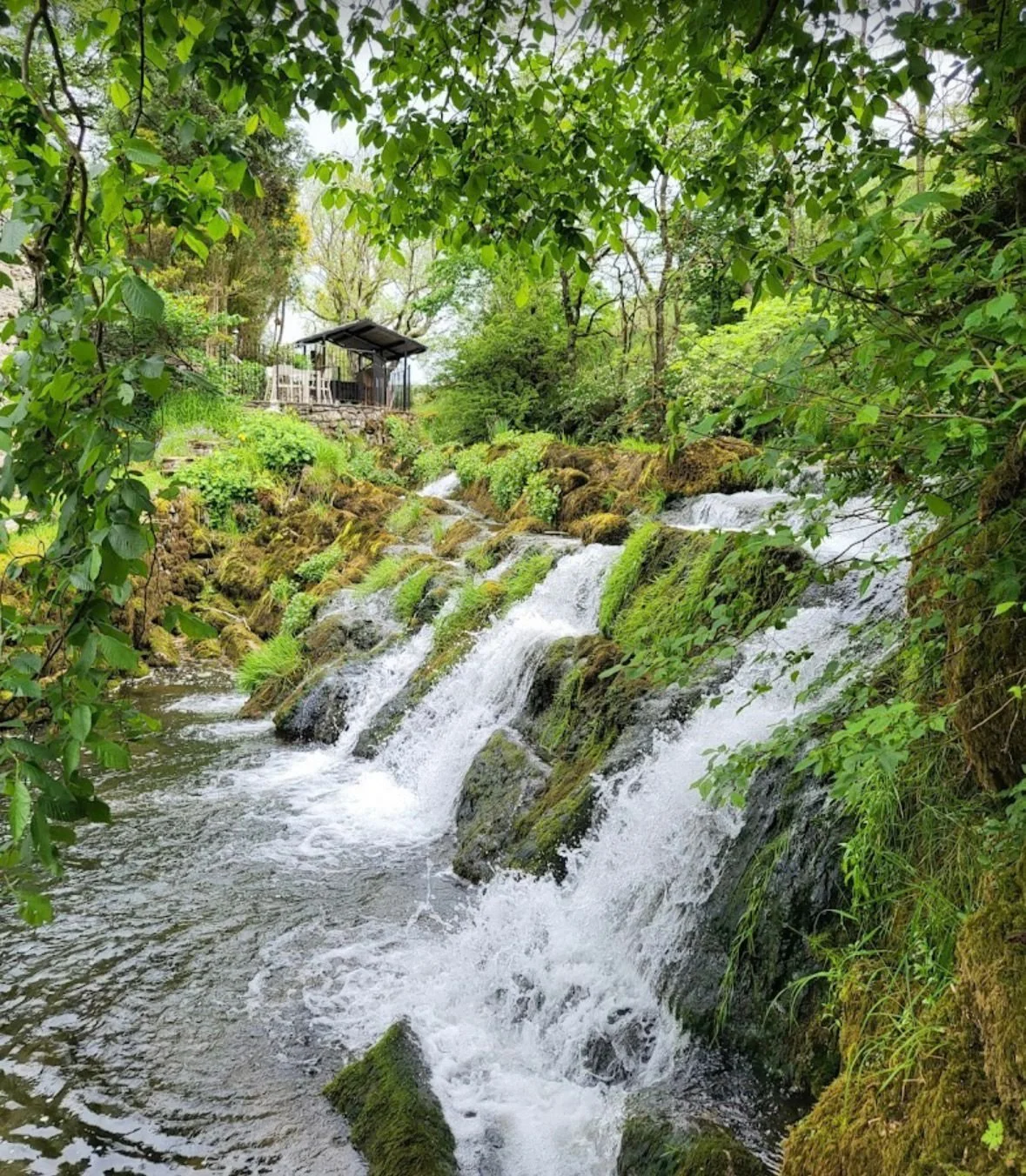 WhatsApp Image 2026-02-22 at 15.01.54 (6).jpeg