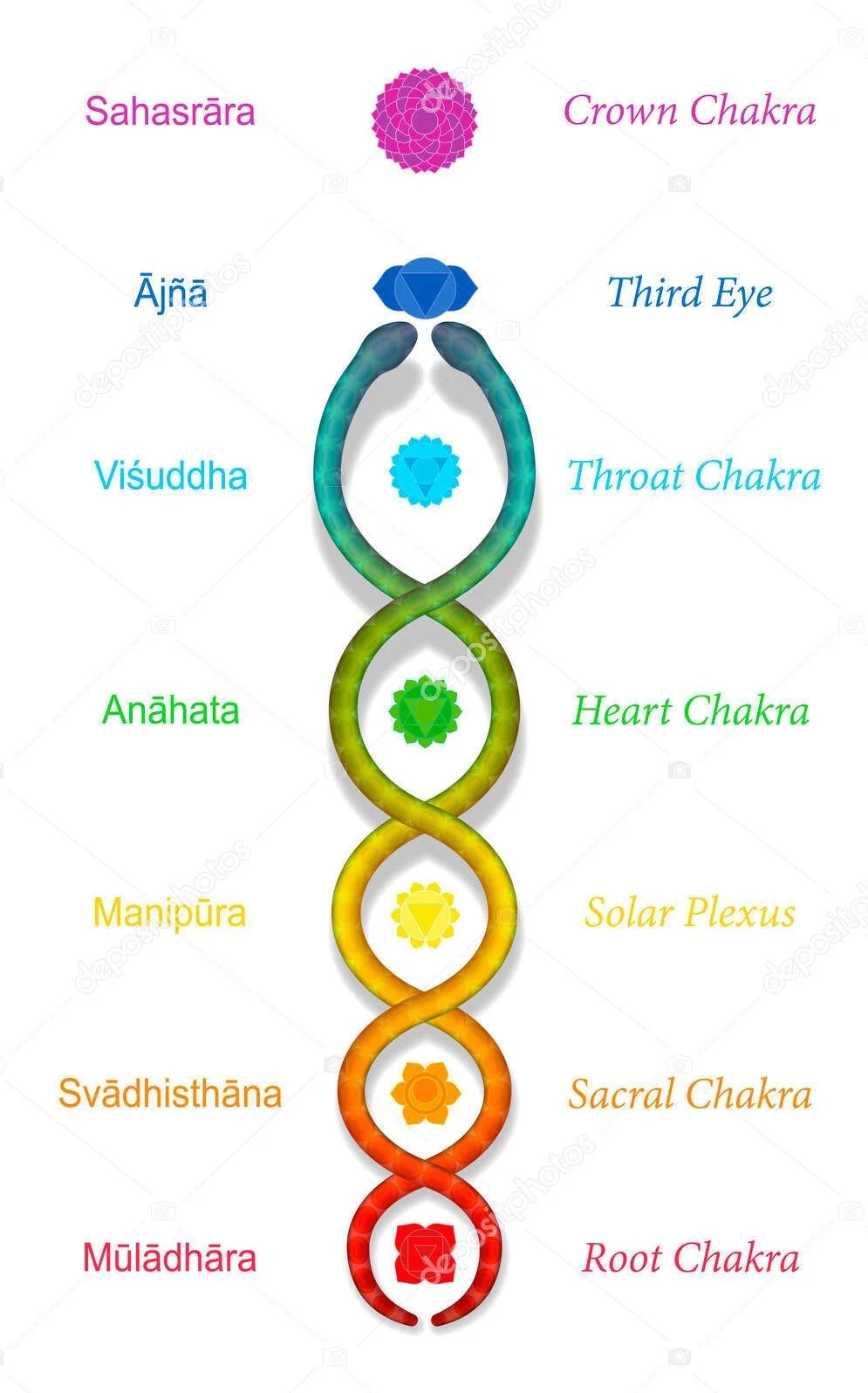 Diagram of the seven chakras in the body, listed from top to bottom as Crown Chakra, Third Eye, Throat Chakra, Heart Chakra, Solar Plexus, Sacral Chakra, and Root Chakra, each with their respective colors and symbols.