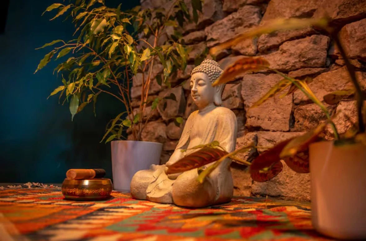 WhatsApp Image 2026-02-22 at 15.04.20.jpeg