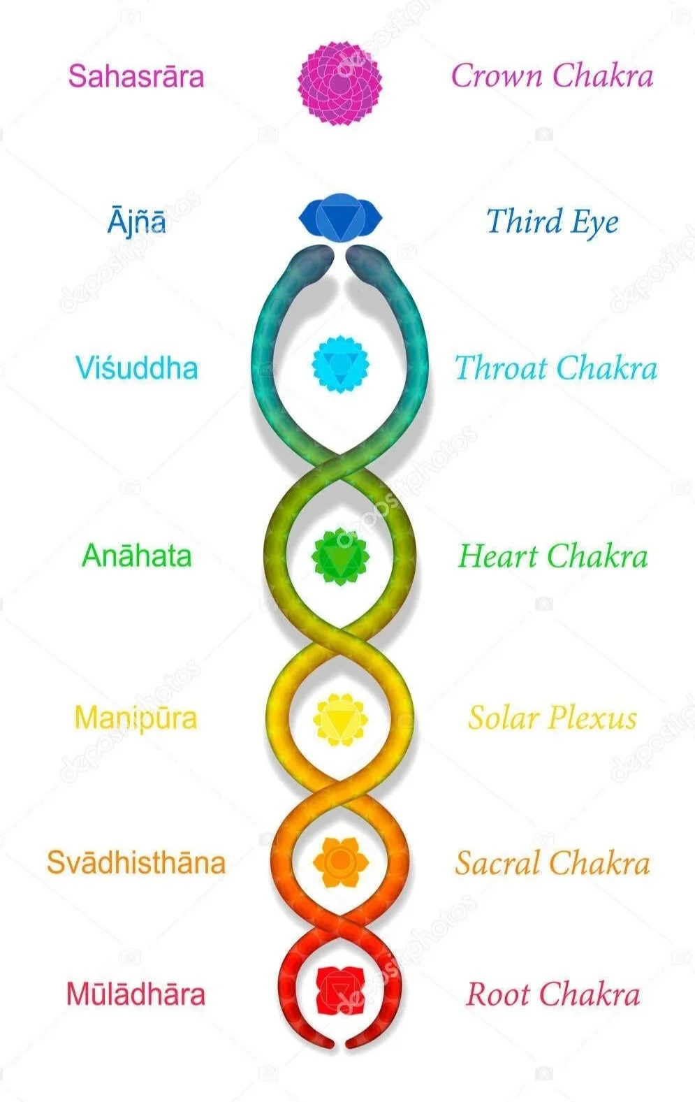 Kundalini seven chakras with coloured symbols and labels, including Crown Chakra in purple, Third Eye in blue, Throat in light blue, Heart in green, Solar Plexus in yellow, Sacral in orange, and Root in red.