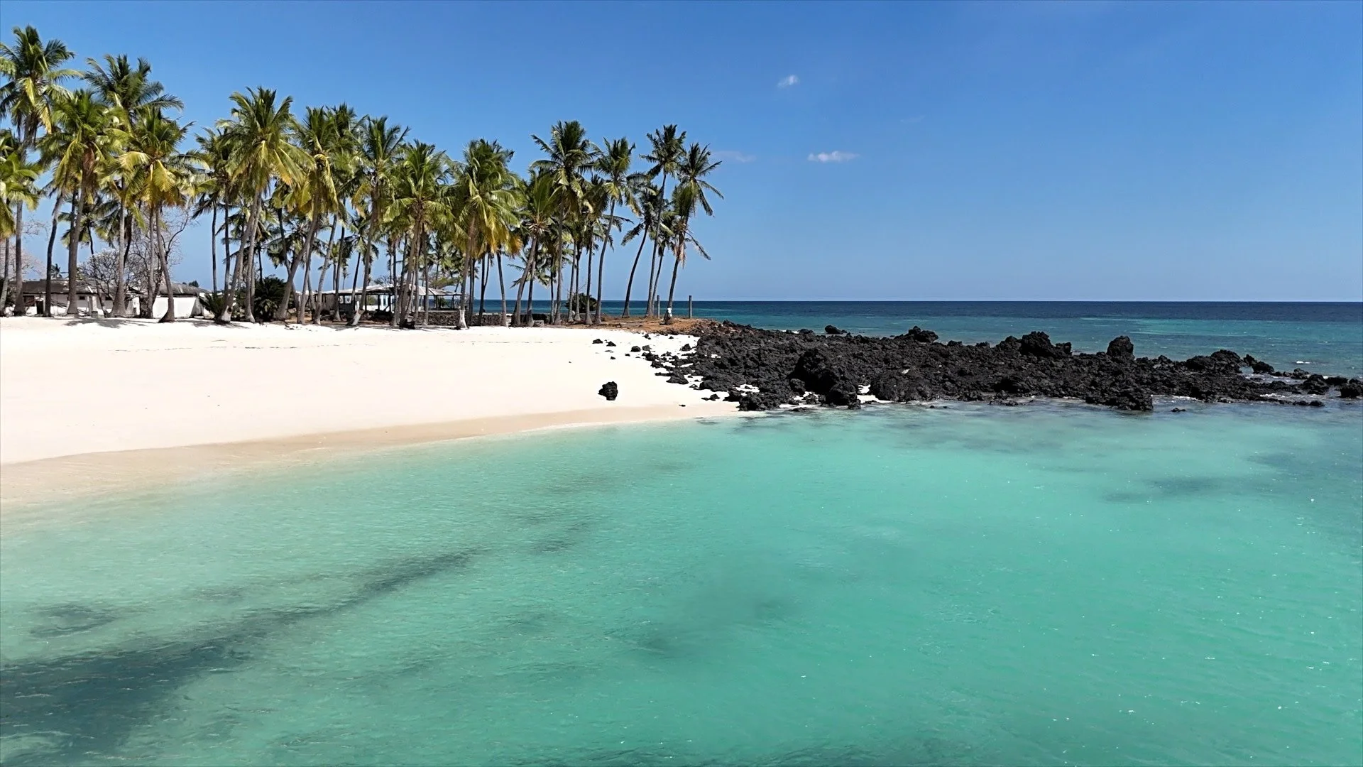 Plage de sable blanc avec des palmiers, des rochers noirs, et une mer turquoise claire sous un ciel bleu.