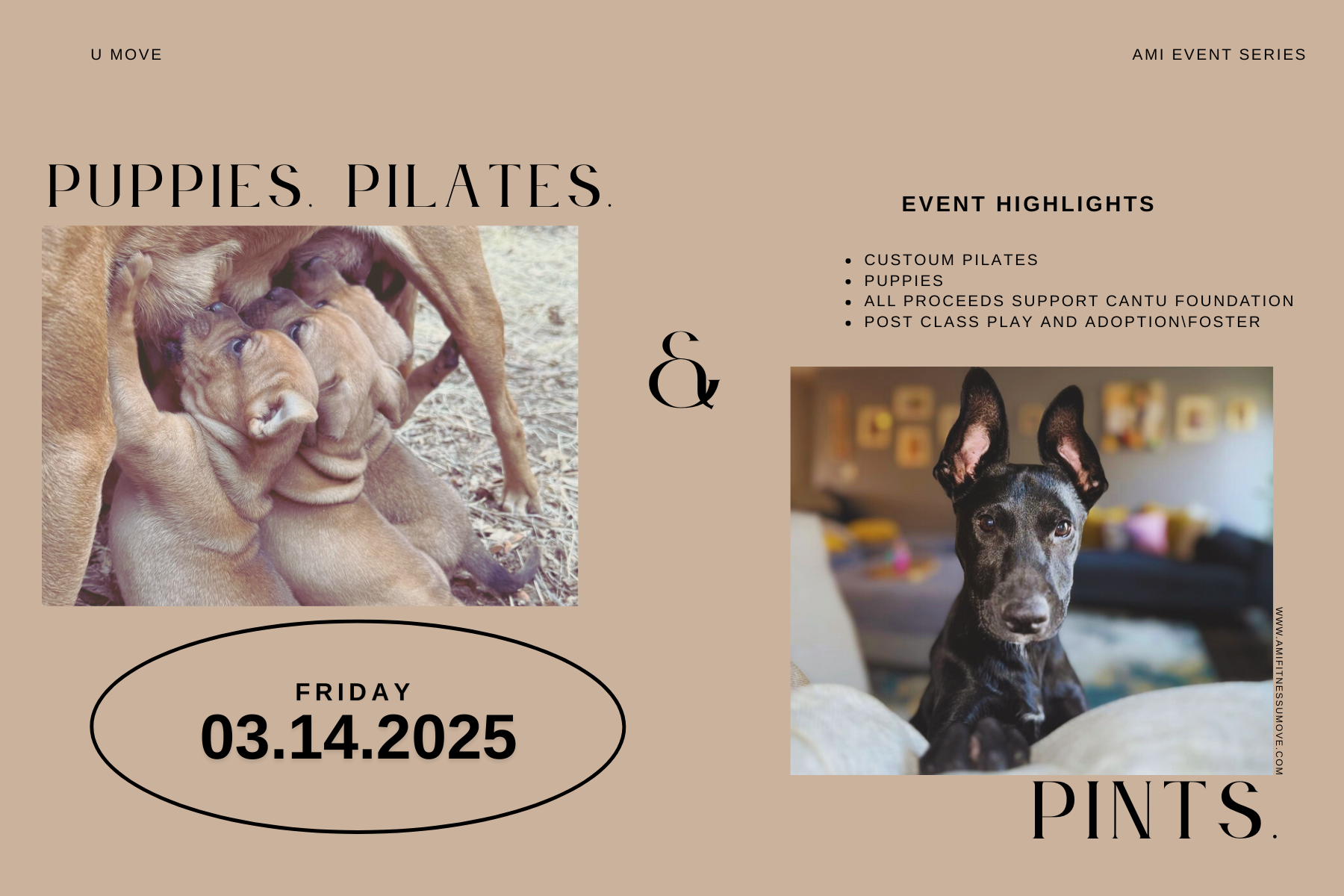 Puppies. Pilates. & Pints.