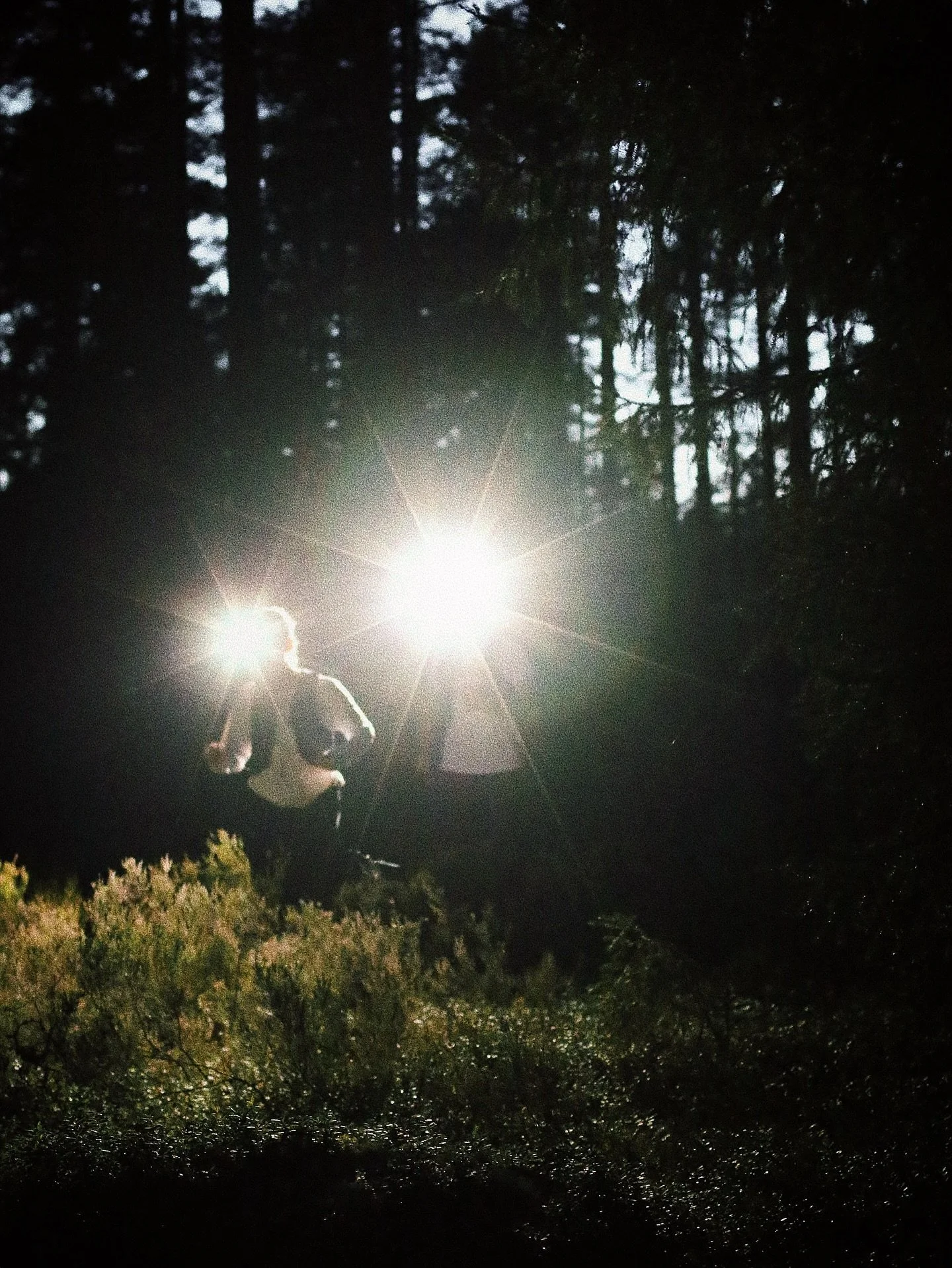 Kv&auml;llarna blir l&auml;ngre och kallare och vi springer rakt in i h&ouml;sten. Men om bara en m&aring;nad byter vi stigarna mot sn&ouml; h&auml;r i Idre 🍂🔜❄️

#sn&ouml;premi&auml;r #konstsn&ouml; #tidigsn&ouml; #idrefj&auml;ll #f&ouml;rstp&arin
