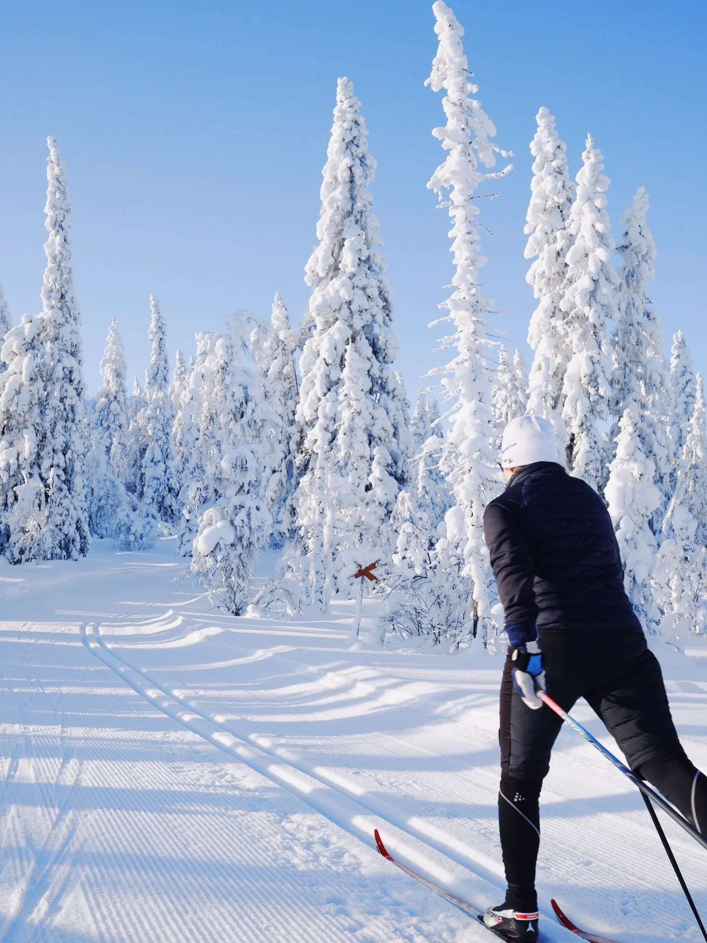 Granarna dignar av sn&ouml;, minusgraderna biter i kinderna och skidsp&aring;ren glittrar i solen. Fj&auml;llet blir inte vackrare &auml;n s&aring;h&auml;r🥹

Vecka 7 p&aring; int&aring;gande och det betyder att sportlovsperioden &auml;ntligen &auml;